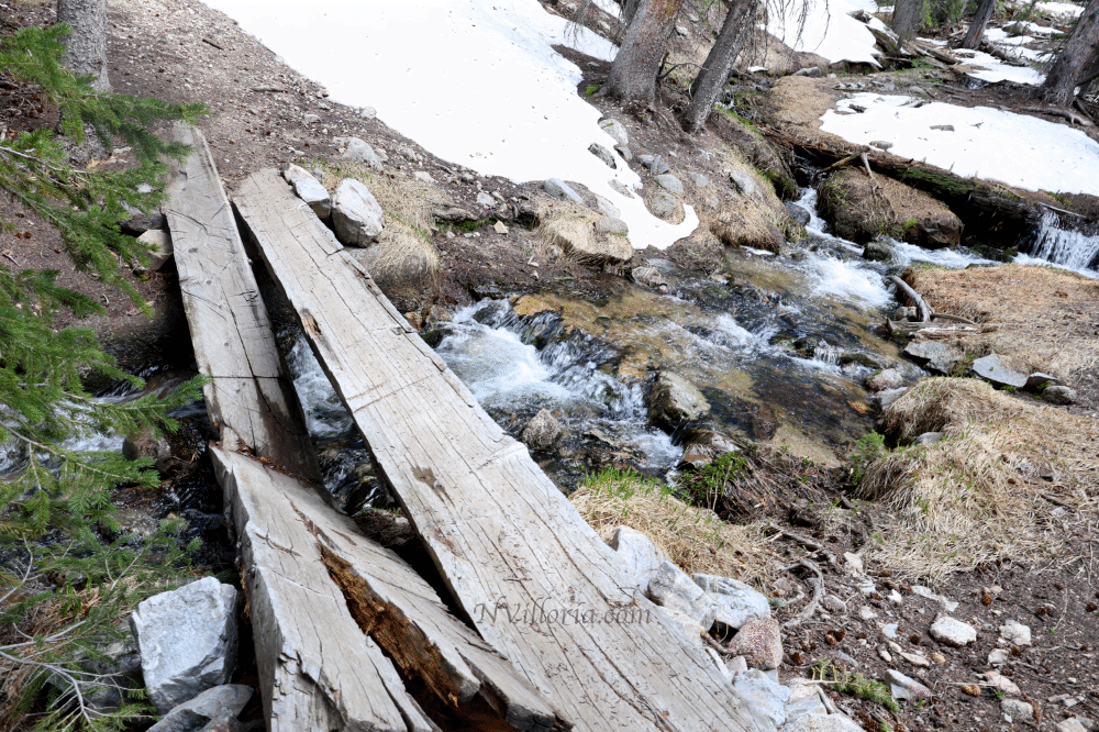 Views from a hiking trail at Great Basin National Park from NVilloria.com