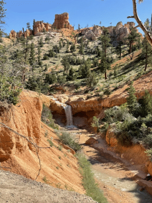 Hiking Mossy Cave Trail at Bryce Canyon National Park via NVilloria.com