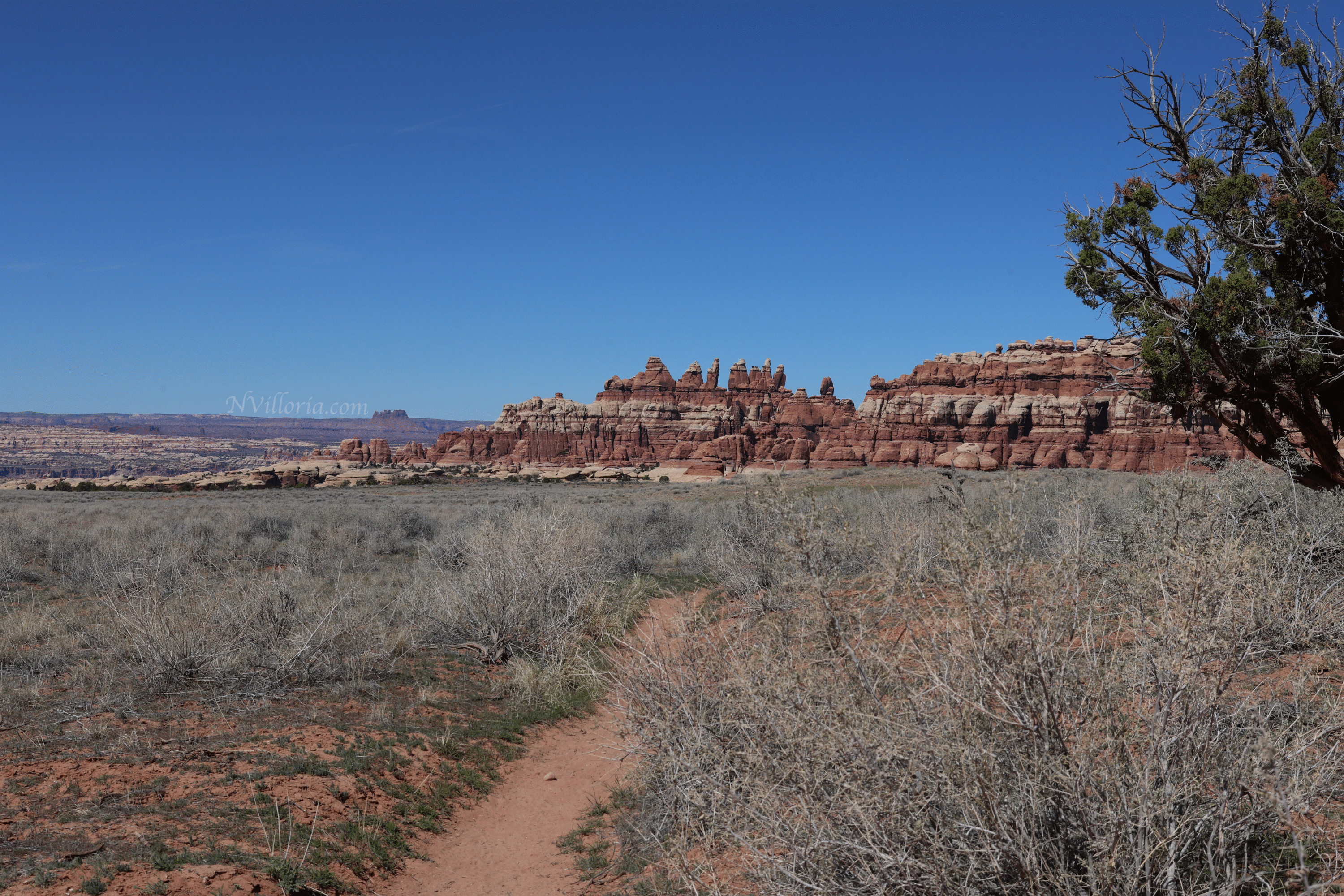 Trail views hiking the Needles District at Canyonlands National Park - via NVilloria.com