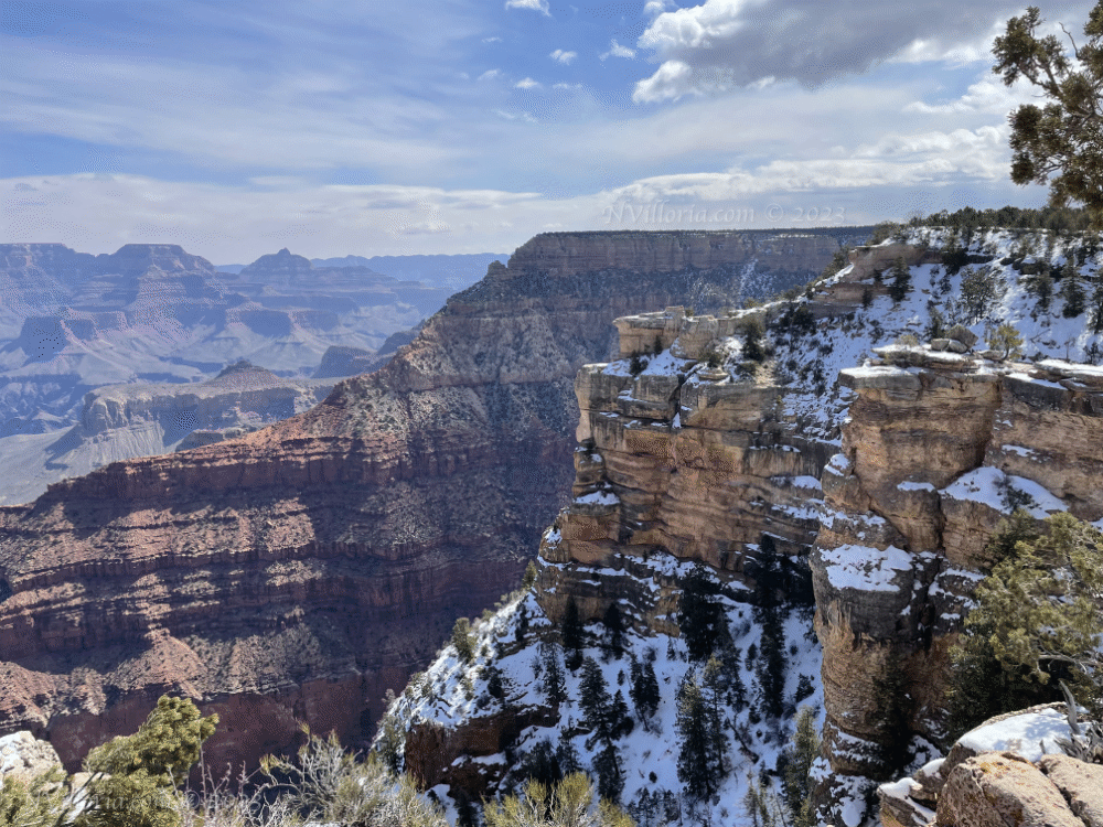 A snowy view of the Grand Canyon