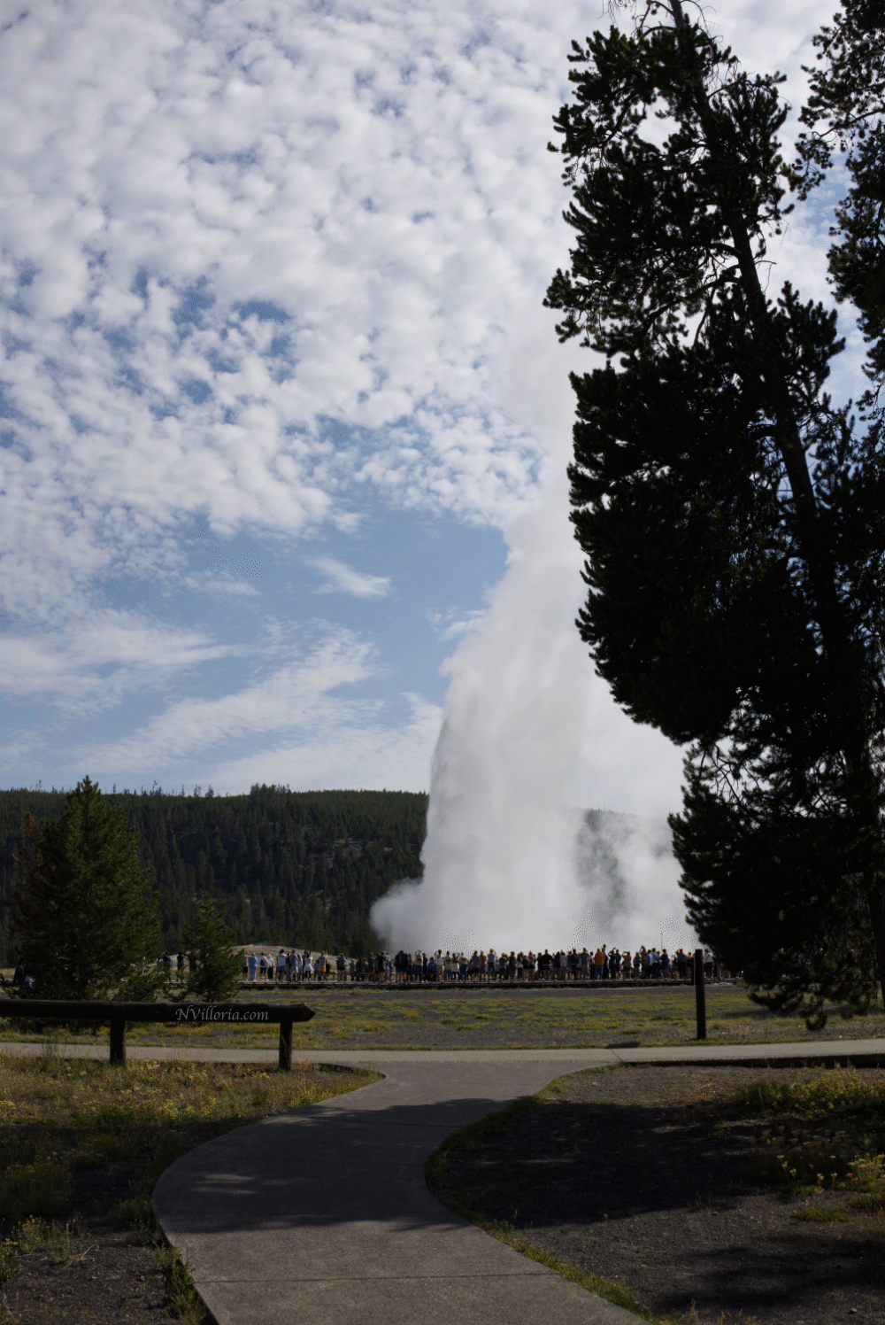 Old Faithful erupting at Yellowstone National Park - via NVilloria.com