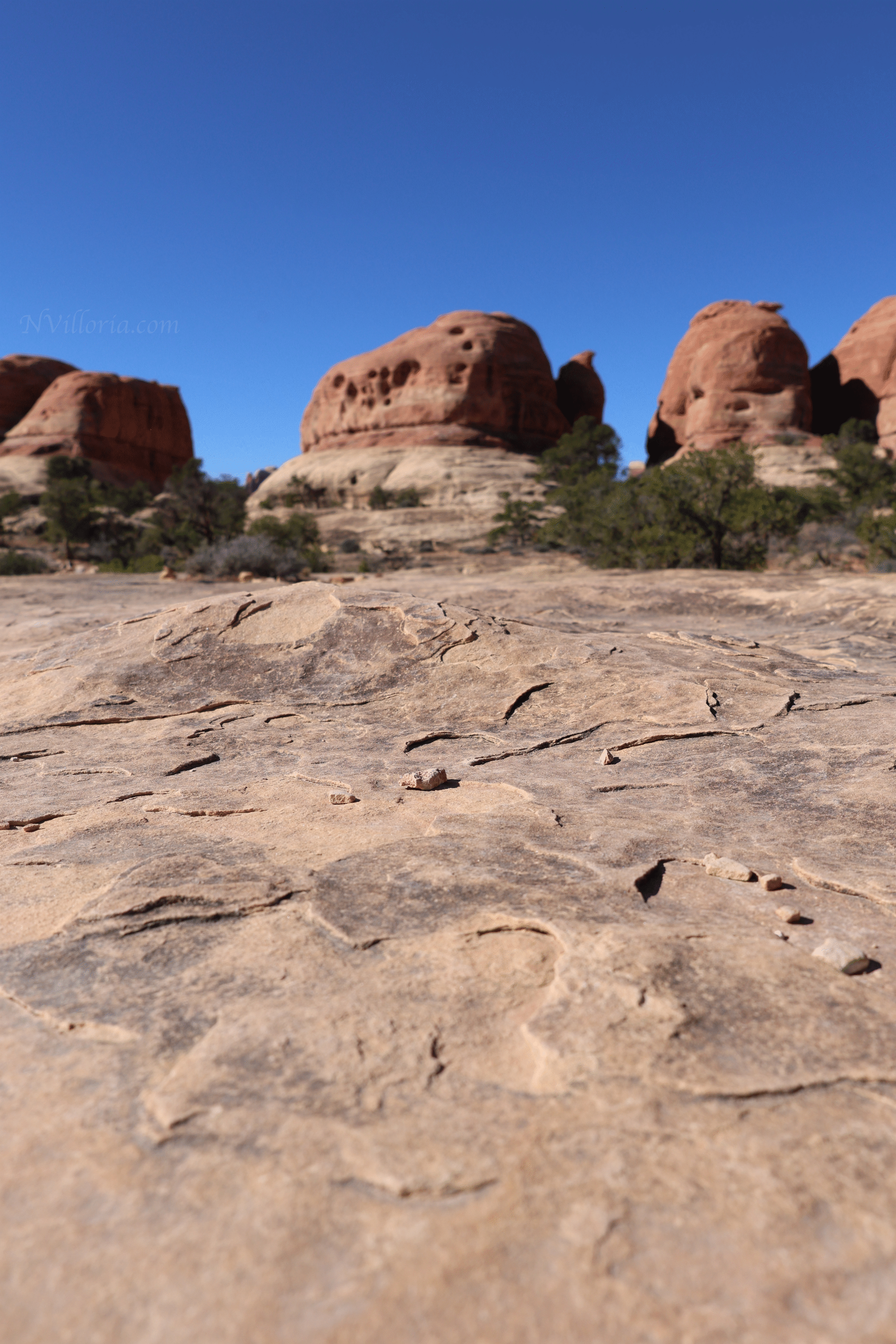 Trail views hiking the Needles District at Canyonlands National Park - via NVilloria.com