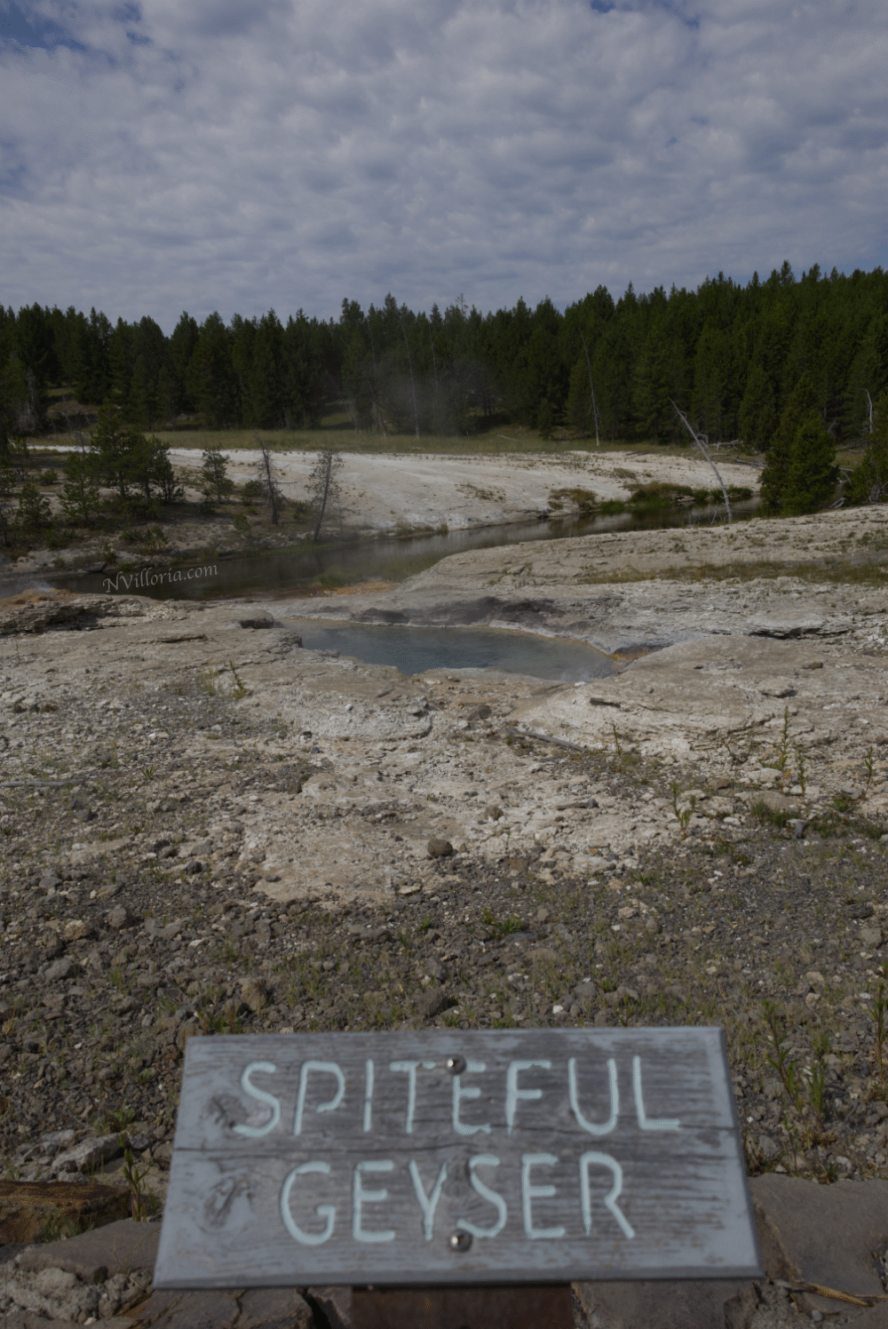 spiteful geyser at Yellowstone National Park - via NVilloria.com