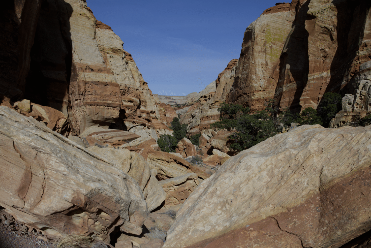 Capitol Reef National Park via NVilloria.com