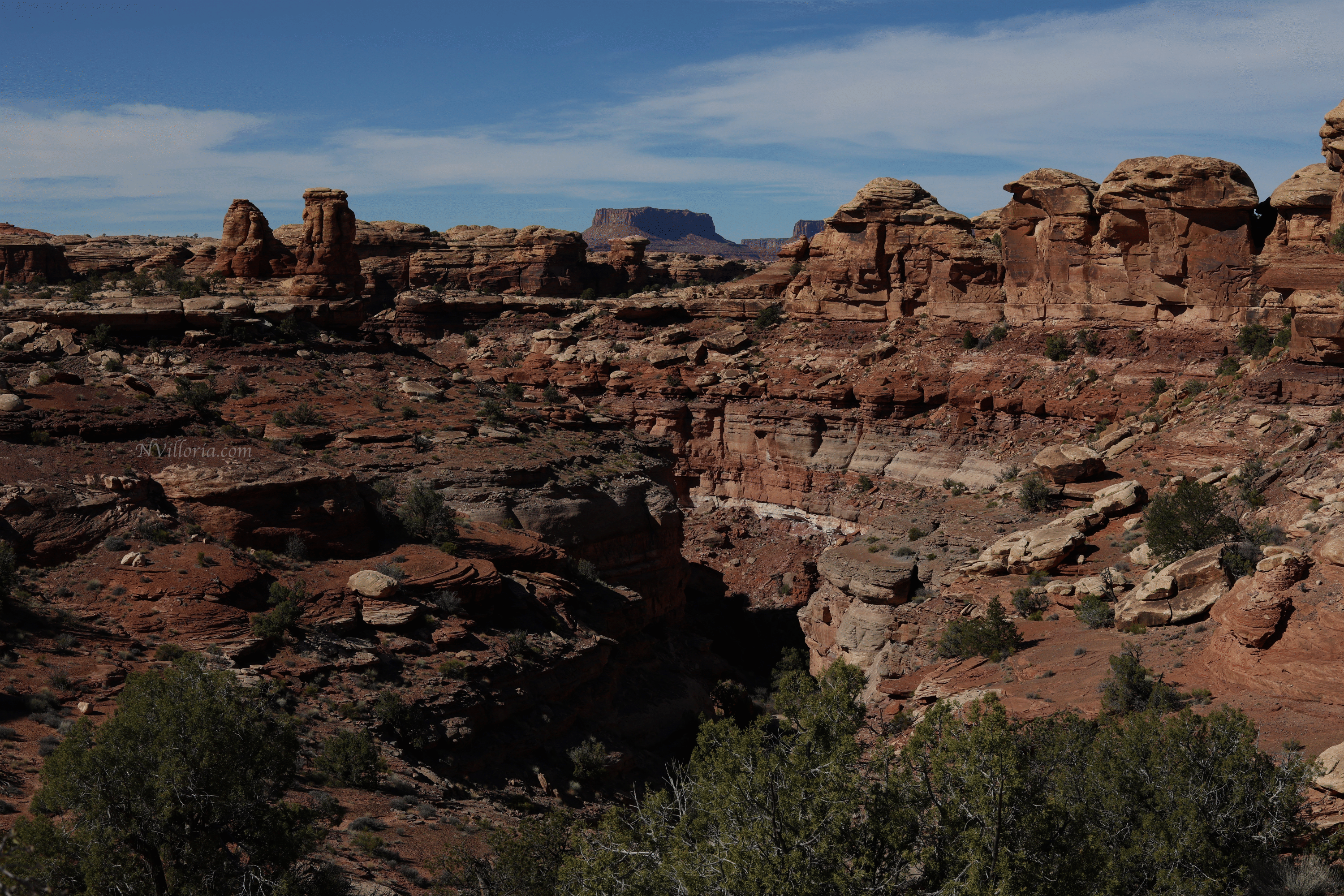 Trail views hiking the Needles District at Canyonlands National Park - via NVilloria.com