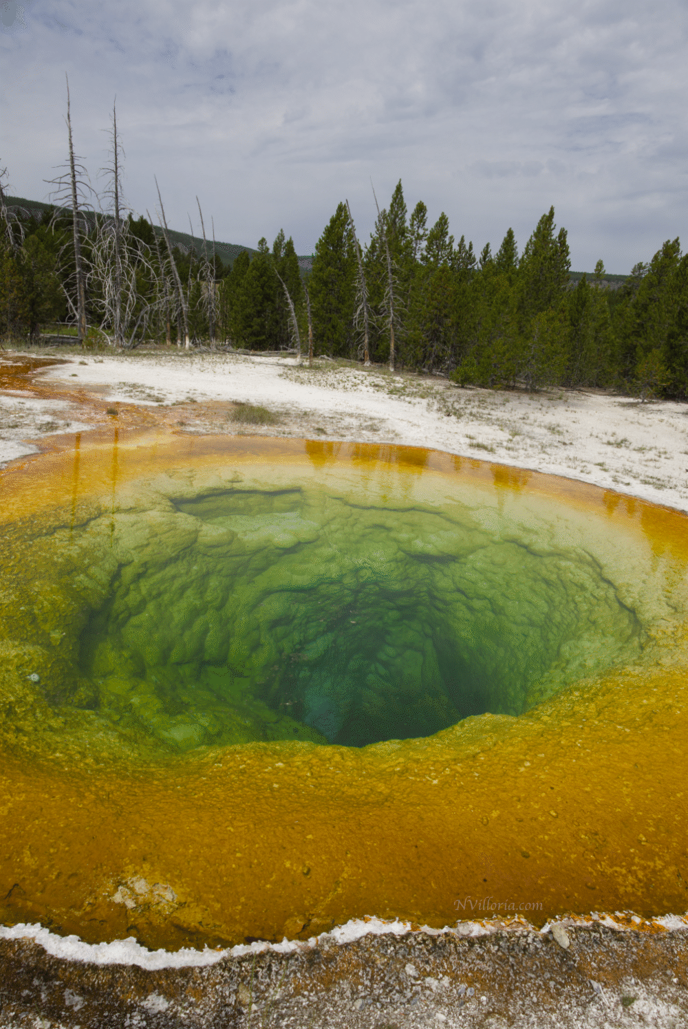 colorful geyser pools at Yellowstone National Park - via NVilloria.com