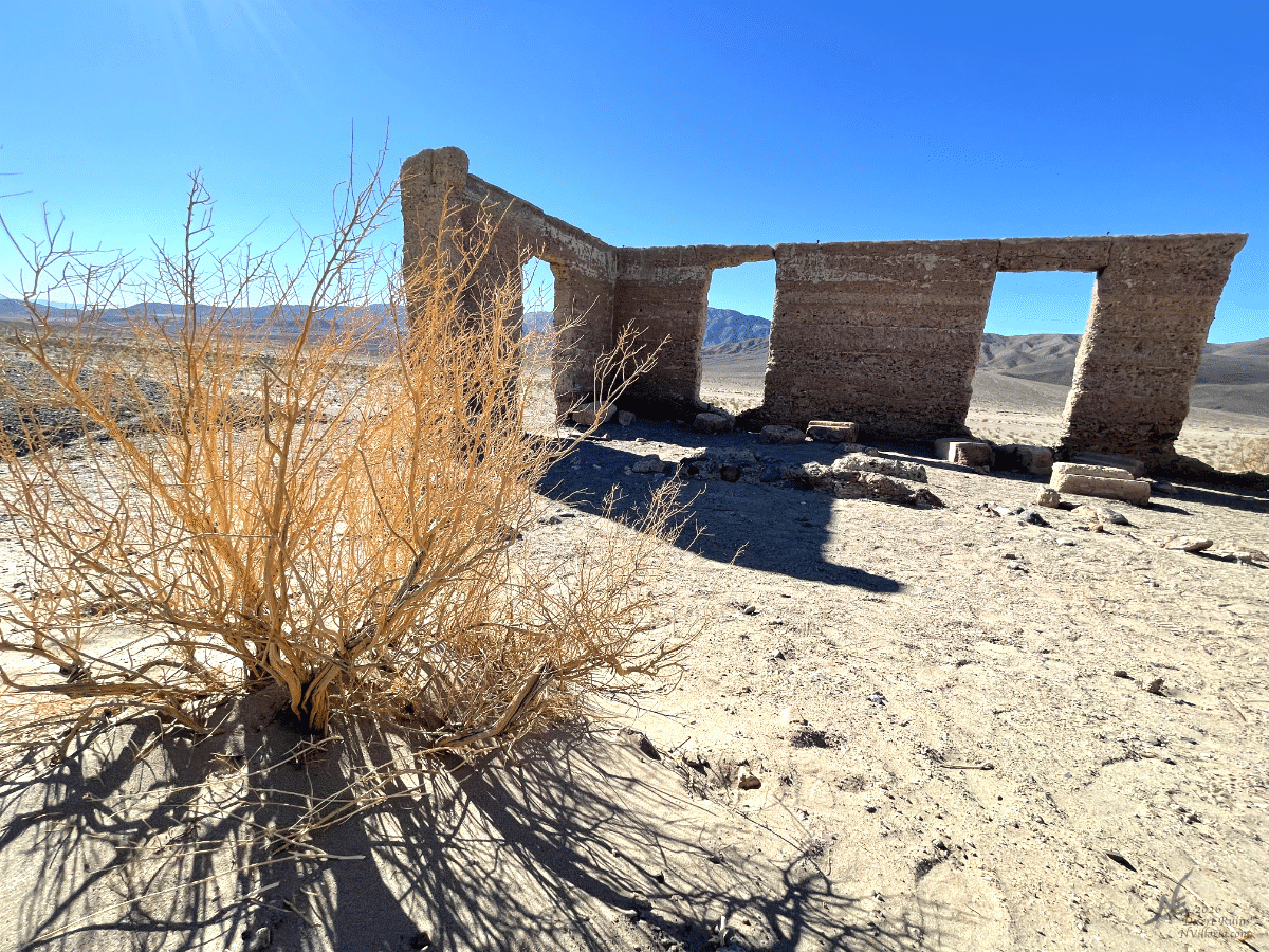 E_IMG_6101_Website Thumbnail.gif