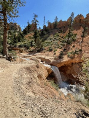 Hiking Mossy Cave Trail at Bryce Canyon National Park via NVilloria.com