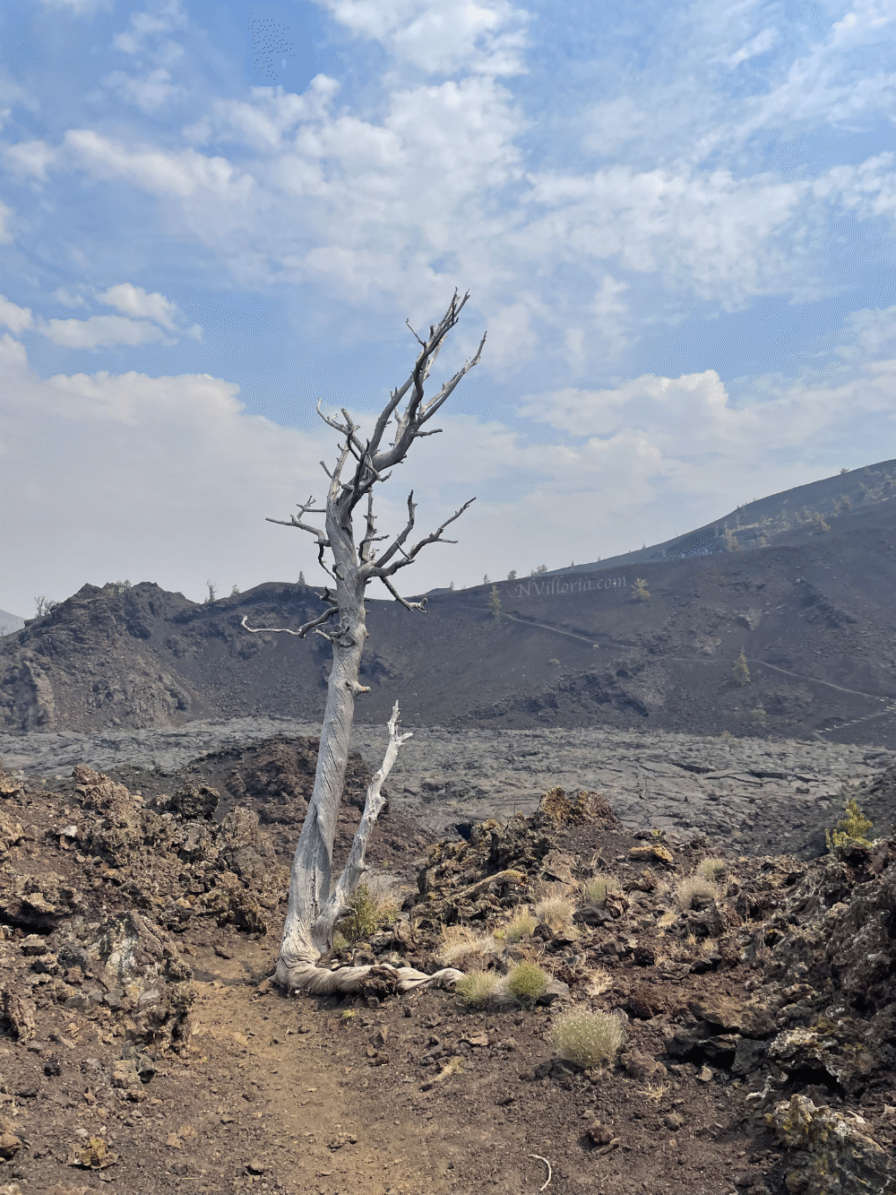 views from North Crater Trail at Craters of the Moon monument - via NVilloria.com