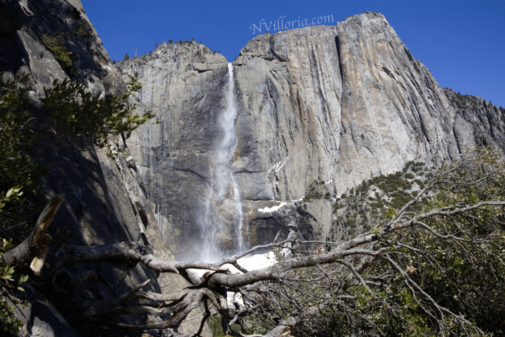 Yosemite Falls at Yosemite National Park - NVilloria.com