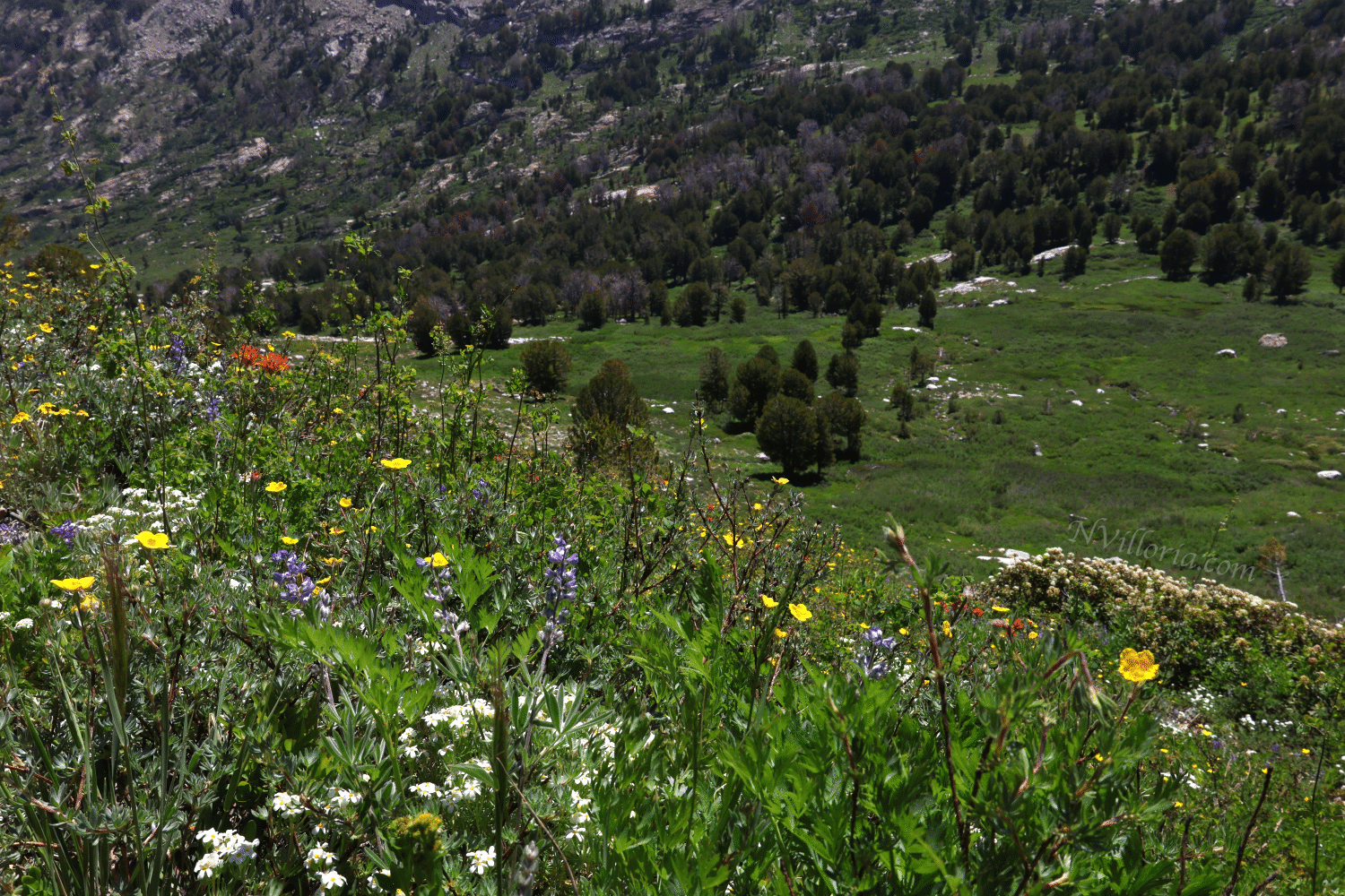 Landscapes at the Ruby Mountains - via NVilloria.com