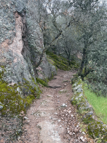 Views hiking at Pinnacles National Park - via NVilloria.com