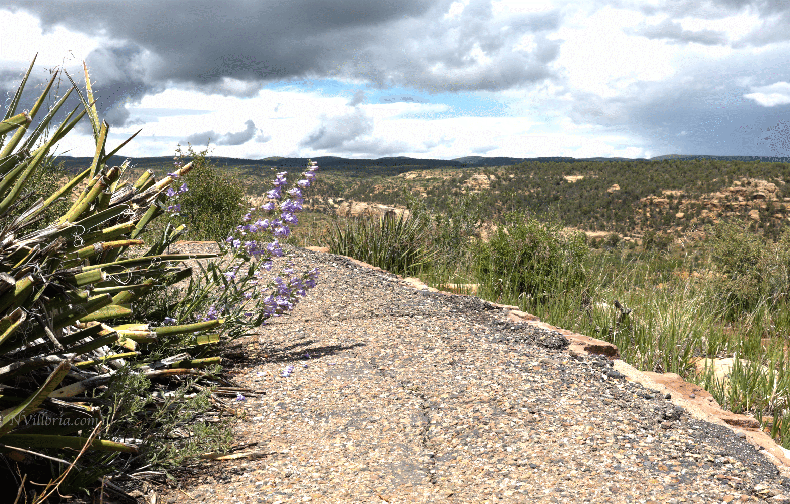 Wetherill Mesa at Mesa Verde National Park via NVilloria.com