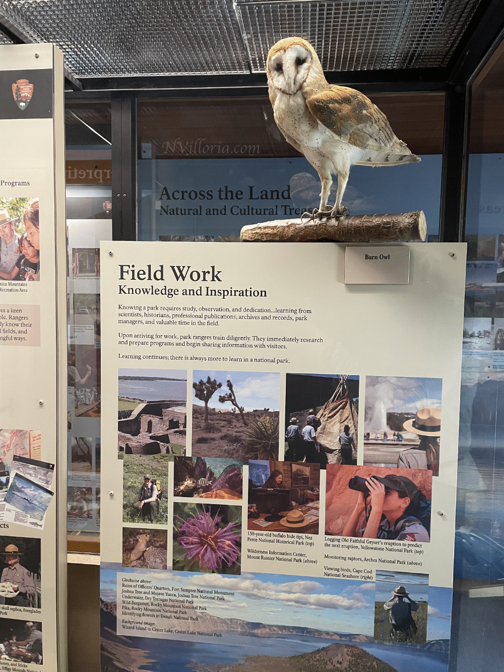 displays inside the Museum of the National Park Ranger at Yellowstone National Park - via NVilloria.com