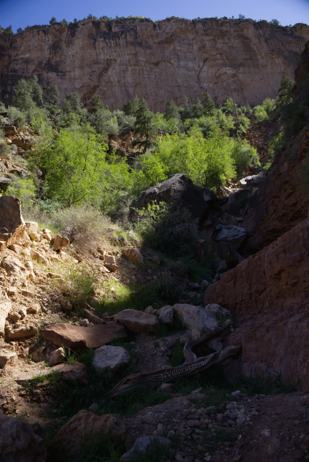 views from the Bright Angel Trail to 3-mile resthouse - via NVilloria.com