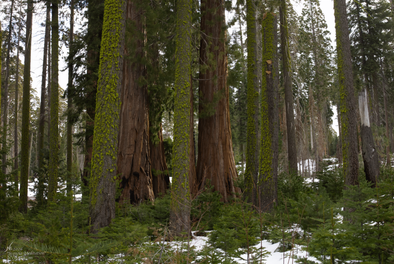 E_IMG_0023_Website Thumbnail.gif