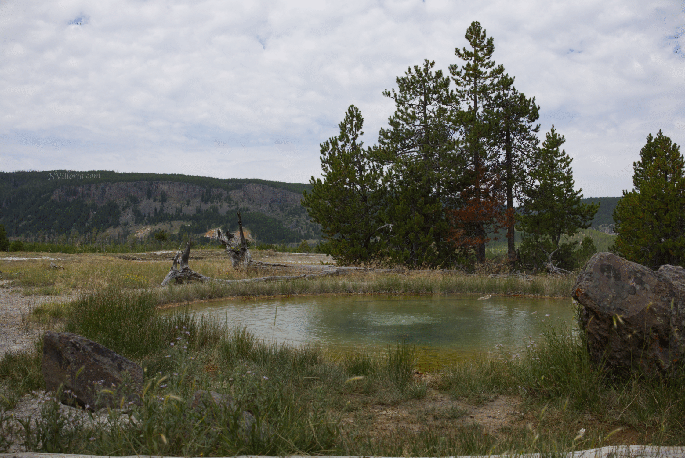landscape views of geysers at Yellowstone National Park - via NVilloria.com