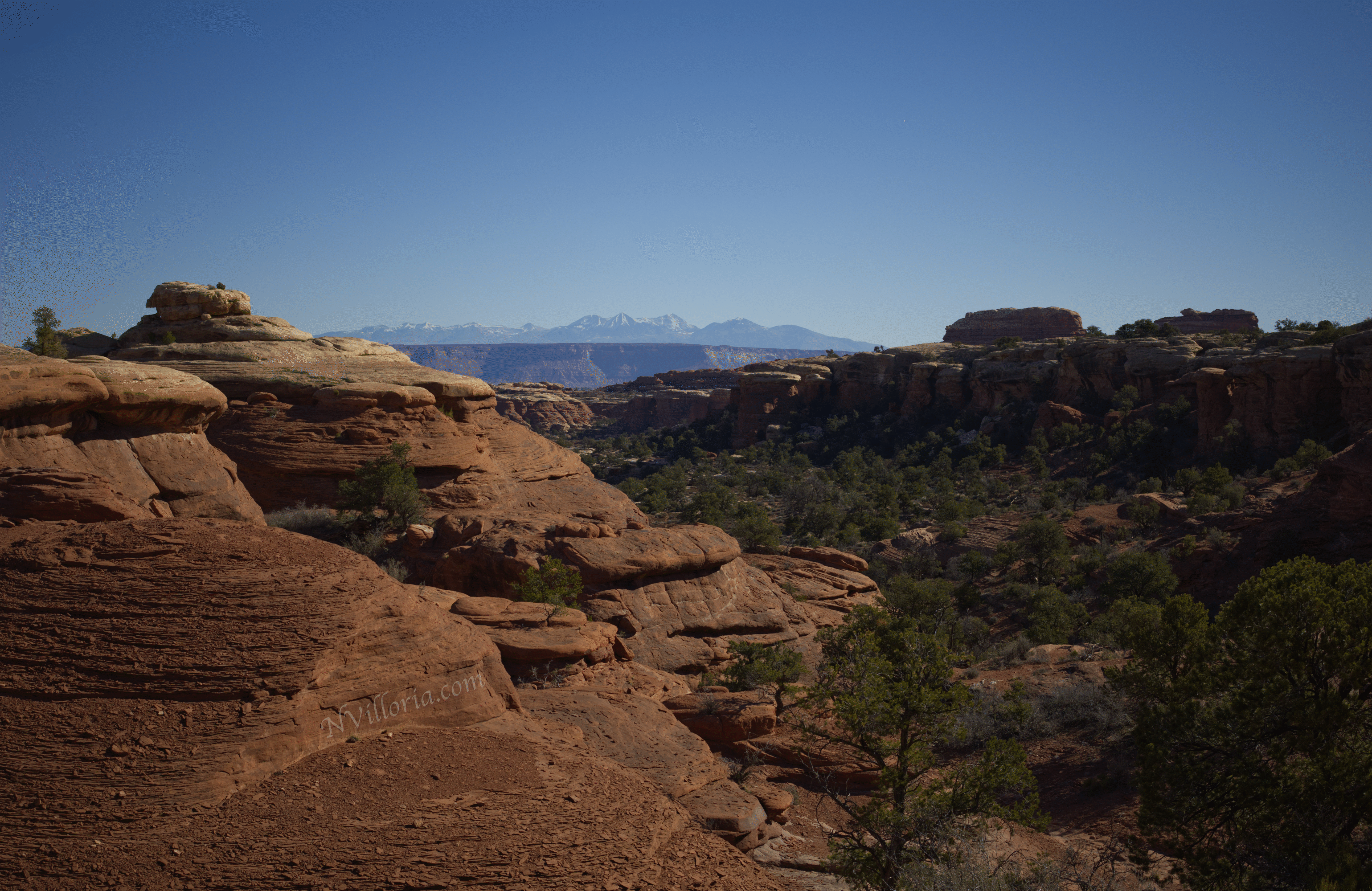 Trail views hiking the Needles District at Canyonlands National Park - via NVilloria.com