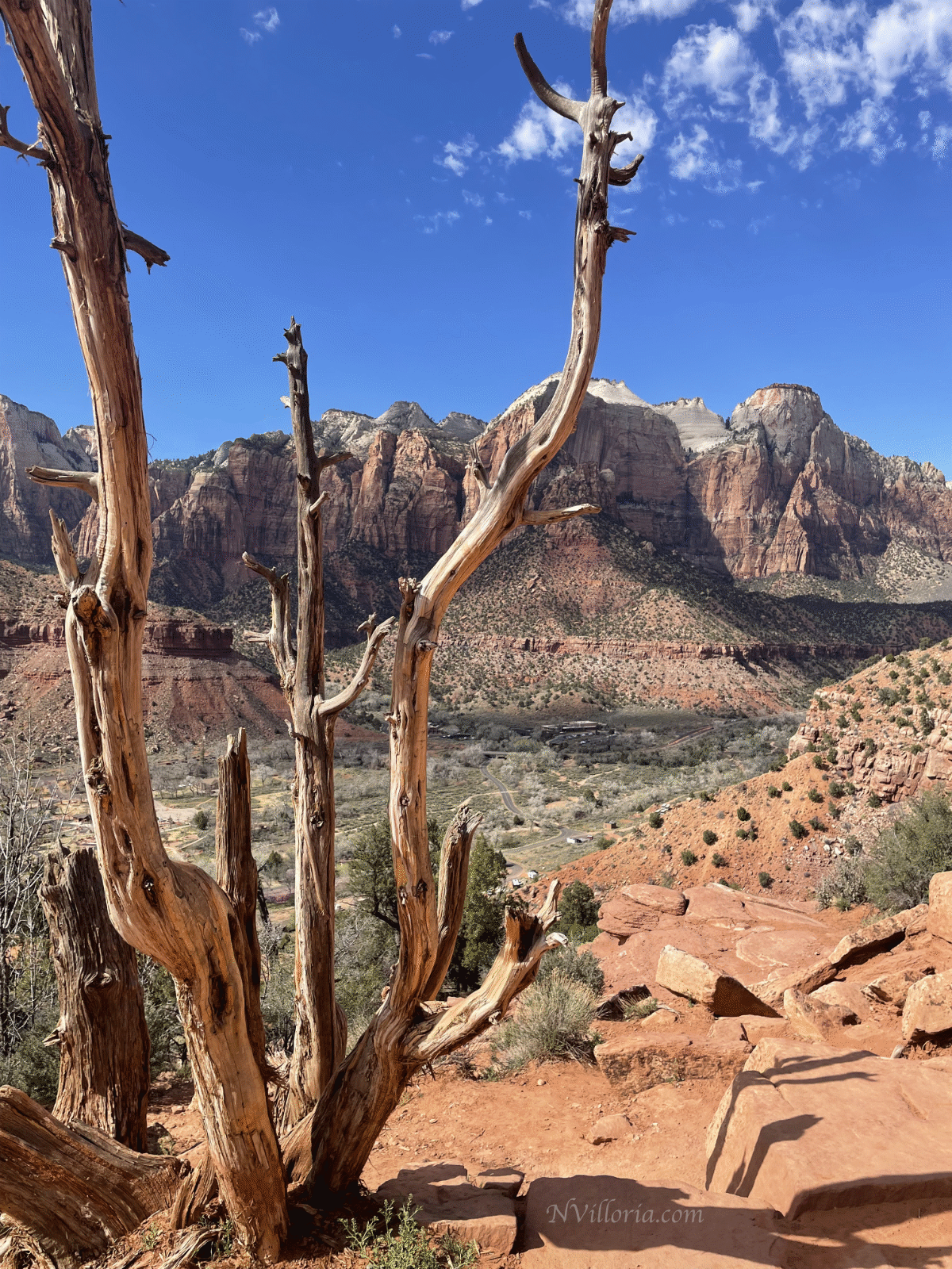 views from Zion National Park - via NVilloria.com