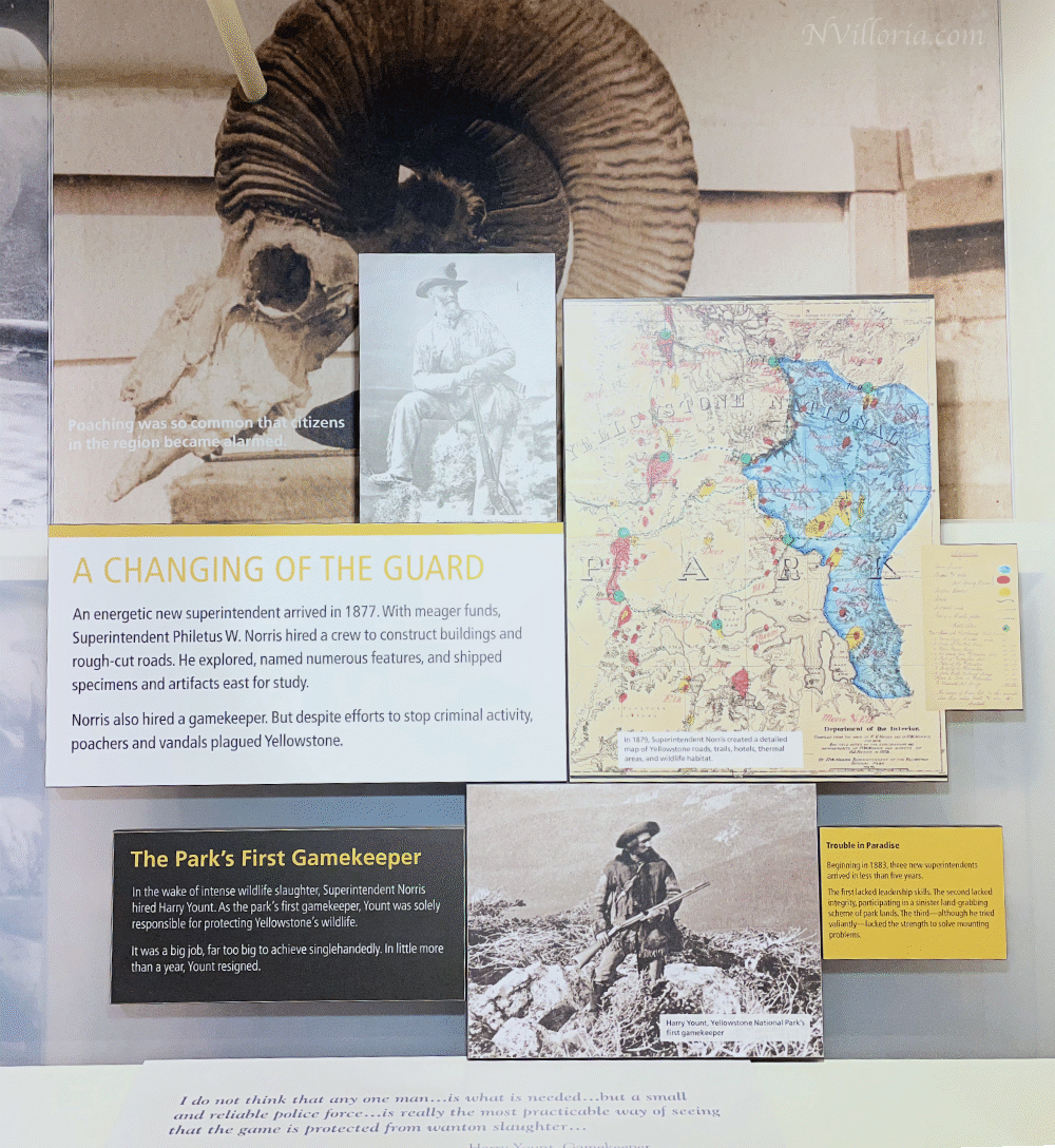 visitor center displays inside the Horace M. Albright Visitor Center at Yellowstone National Park - via NVilloria.com
