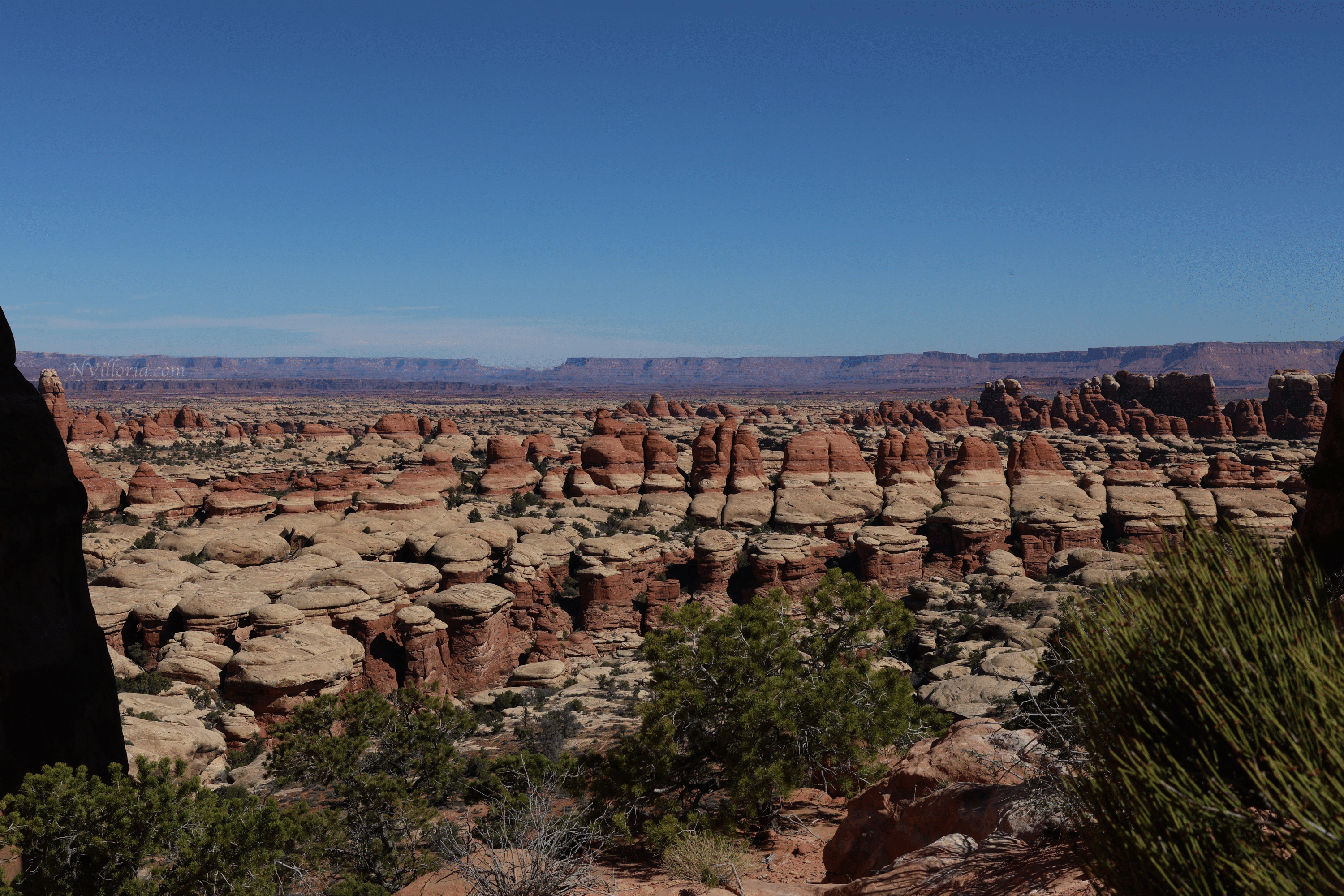 Trail views hiking the Needles District at Canyonlands National Park - via NVilloria.com