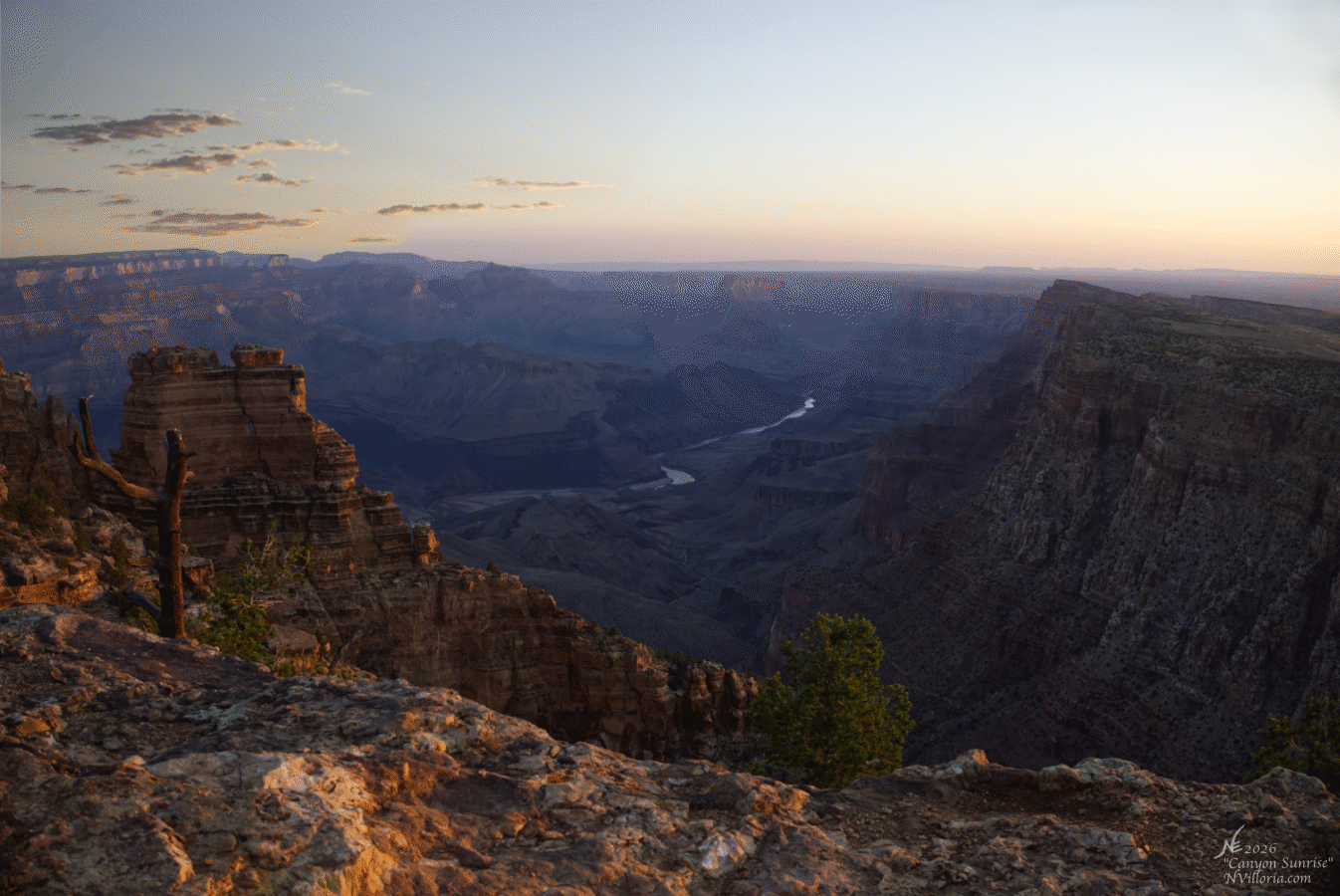 E_IMG_0998_ Website Thumbnail.gif
