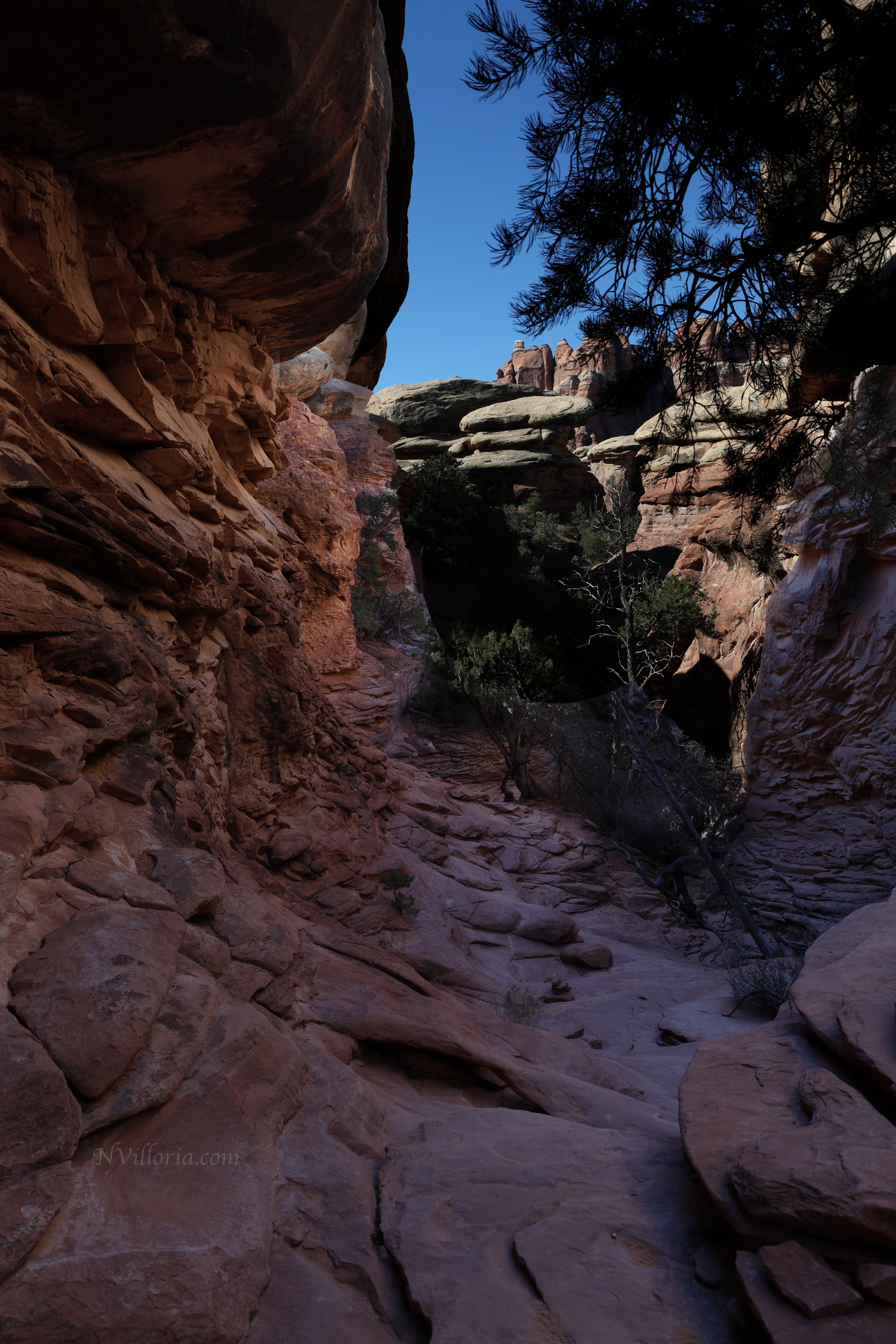 Trail views hiking the Needles District at Canyonlands National Park - via NVilloria.com
