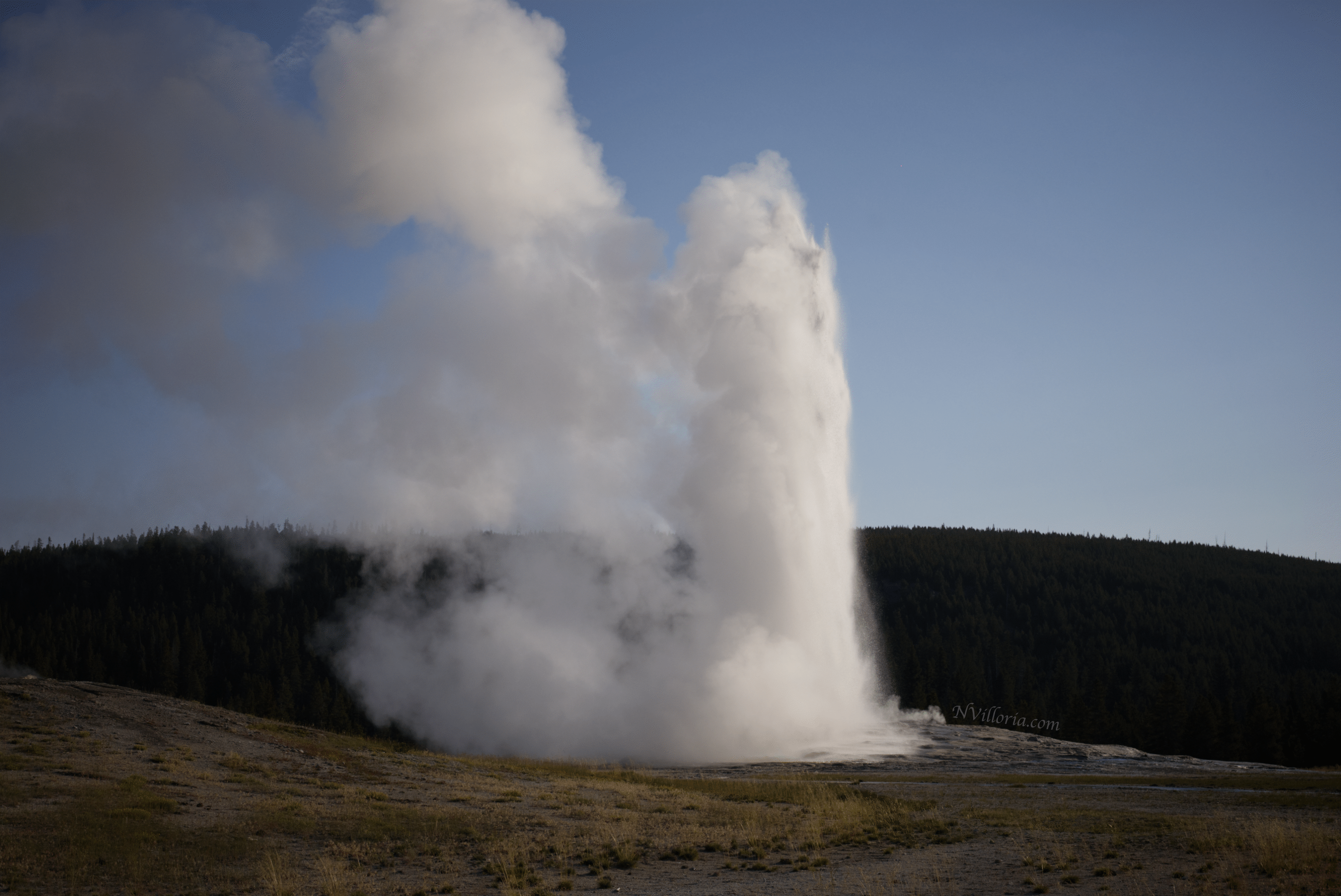 Old Faithful erupting at Yellowstone National Park - via NVilloria.com