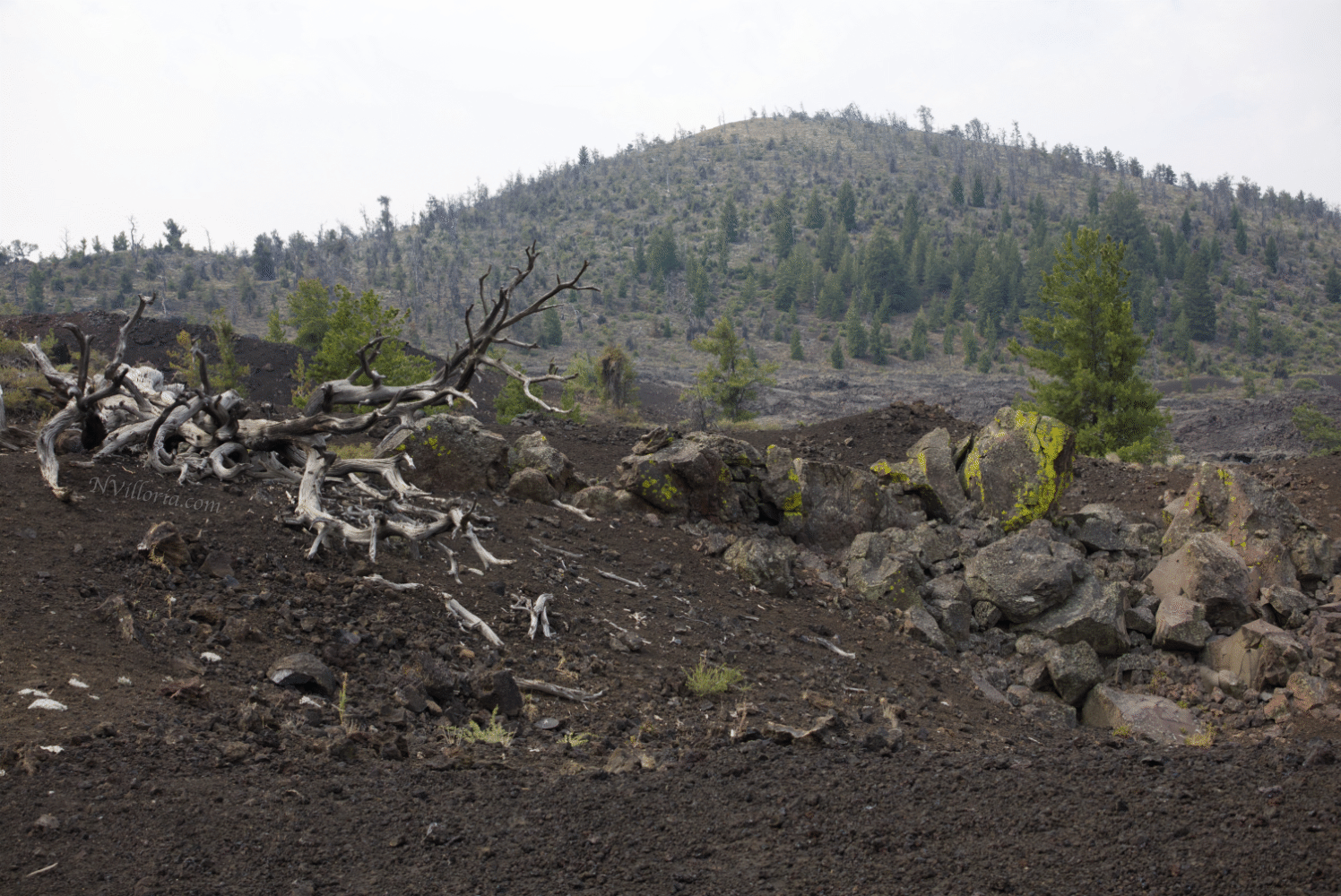 views from North Crater Trail at Craters of the Moon monument - via NVilloria.com