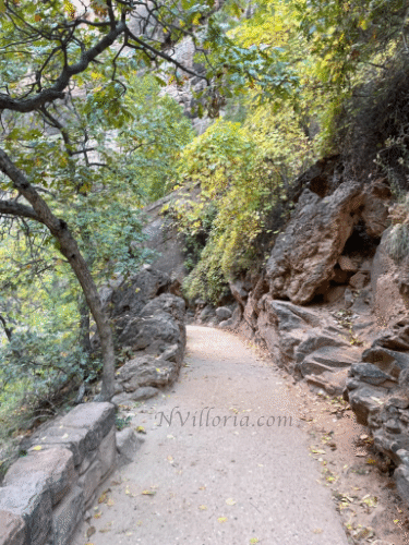 Zion National Park via travel blogger NVilloria.com