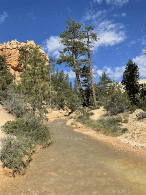 Hiking Mossy Cave Trail at Bryce Canyon National Park via NVilloria.com