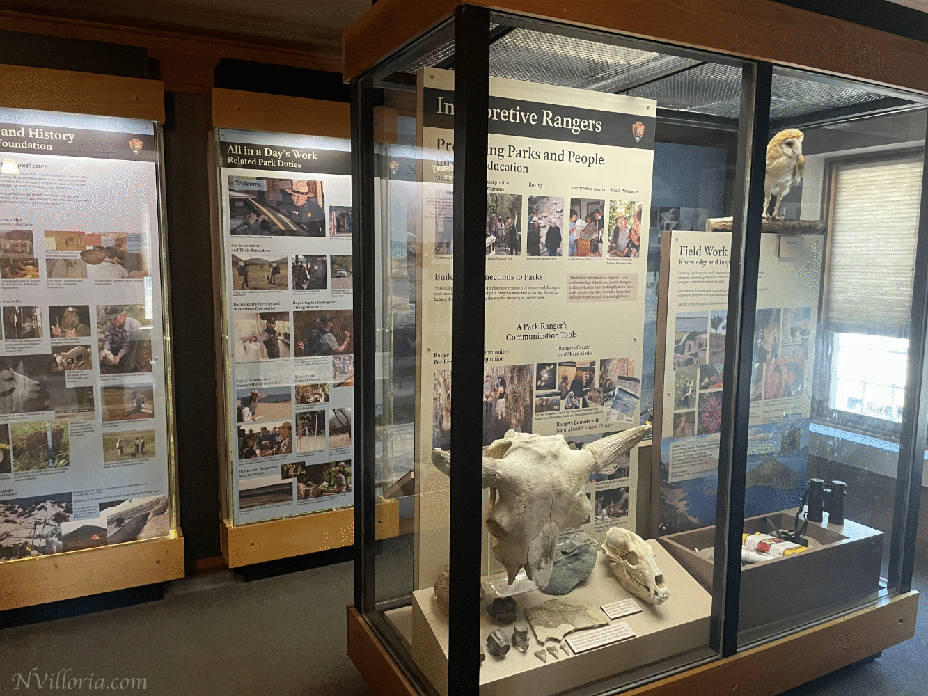 displays inside the Museum of the National Park Ranger at Yellowstone National Park - via NVilloria.com