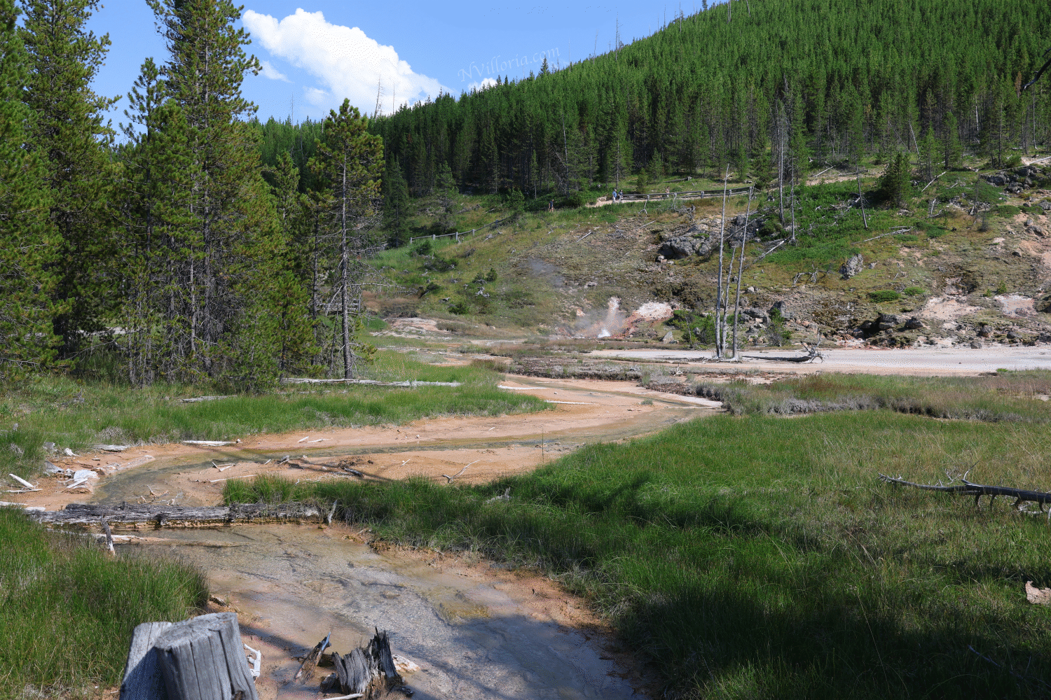 views of thermal activity at Artists' Paintpots in Yellowstone National Park - via NVilloria.com