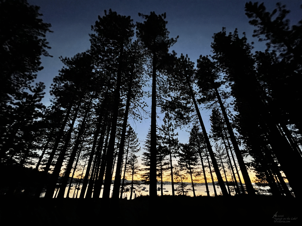 E_IMG_1934_Website Thumbnail.gif