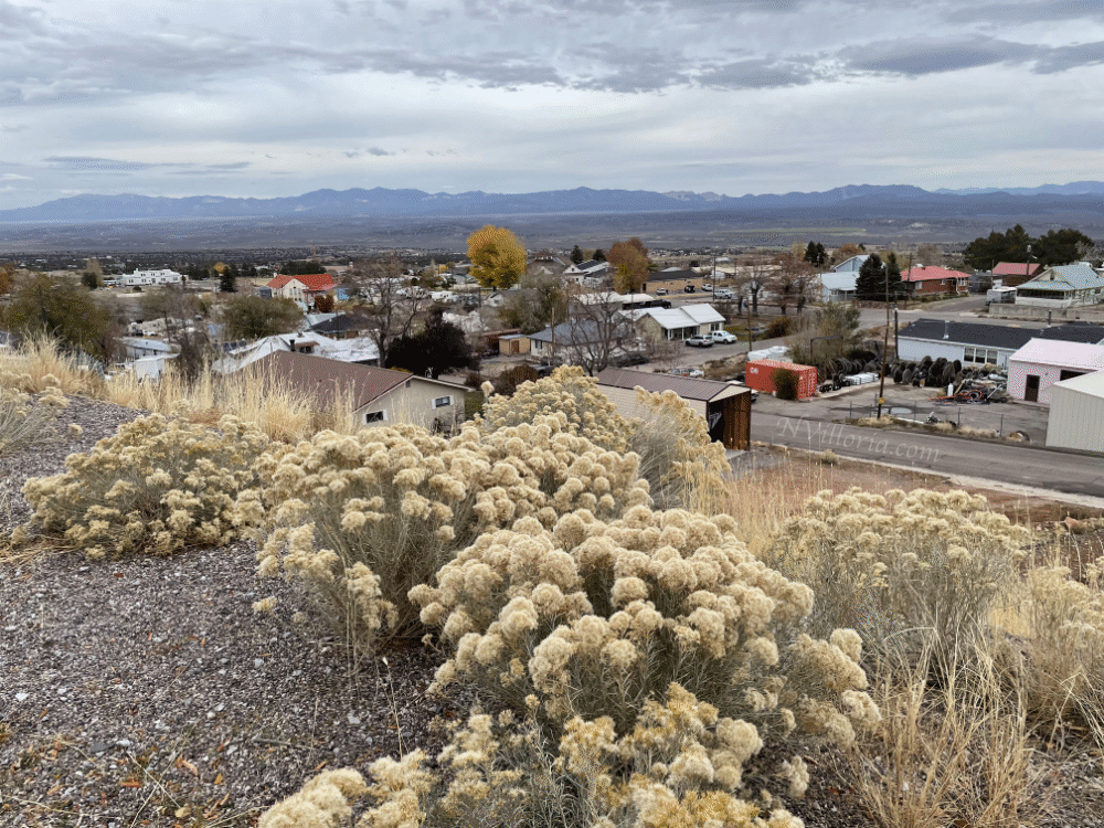 Scenic views over Pioche, NV - via NVilloria.com