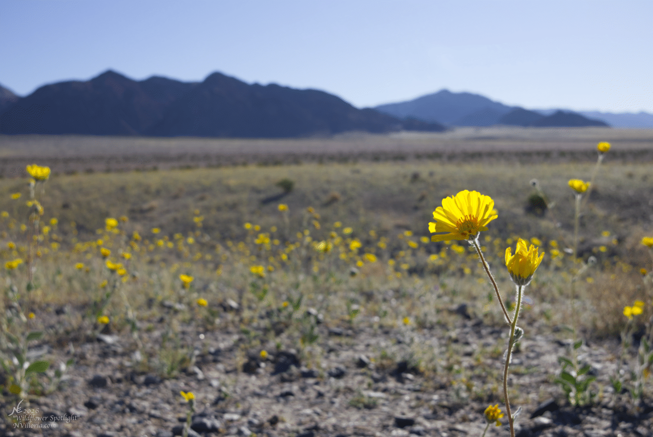 E_IMG_0051_Website Thumbnail.gif