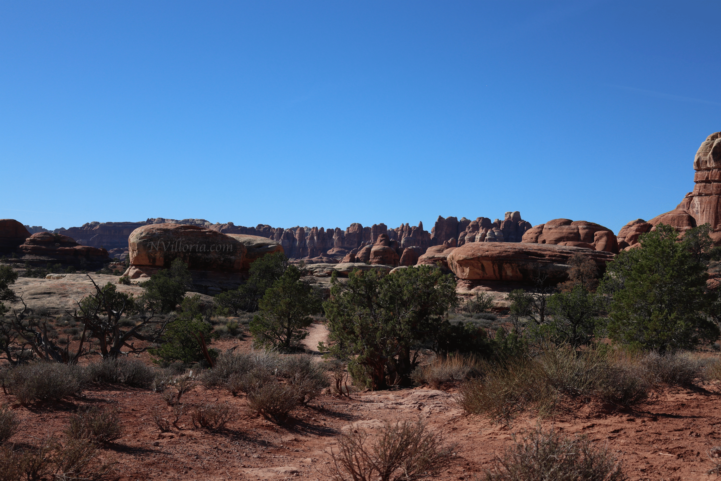 Trail views hiking the Needles District at Canyonlands National Park - via NVilloria.com