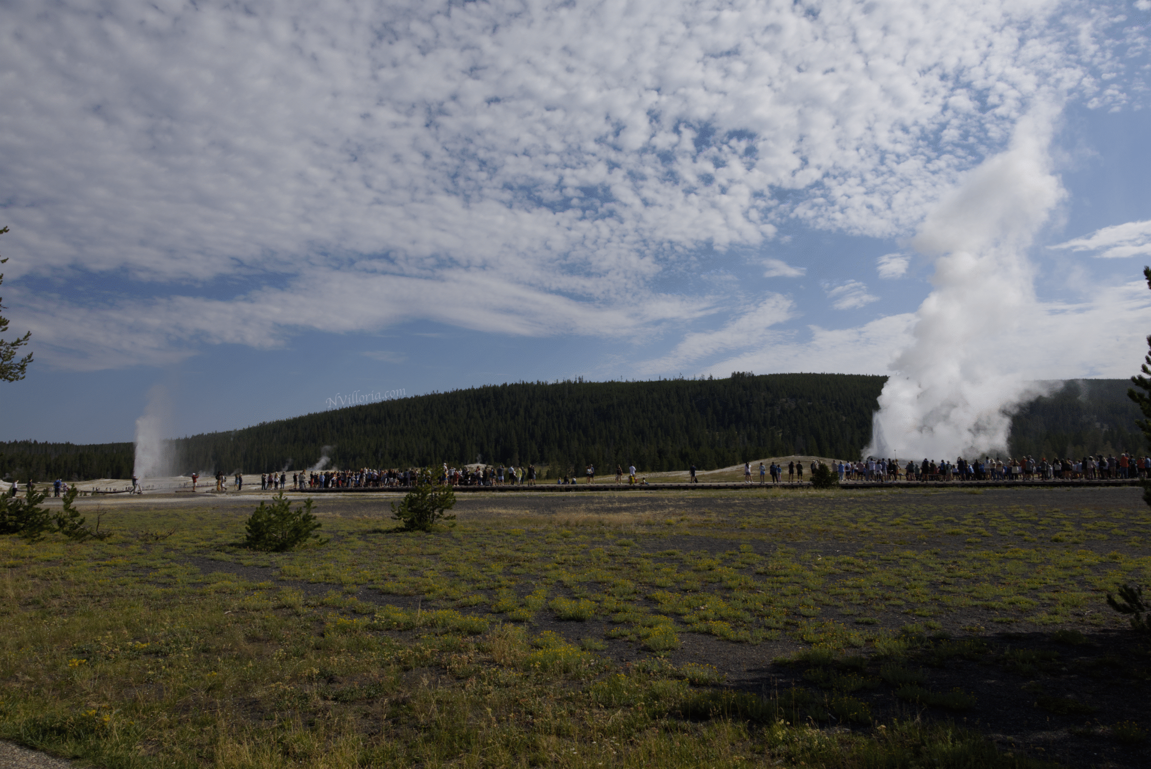 Old Faithful and a large gathered crowd at Yellowstone National Park - via NVilloria.com