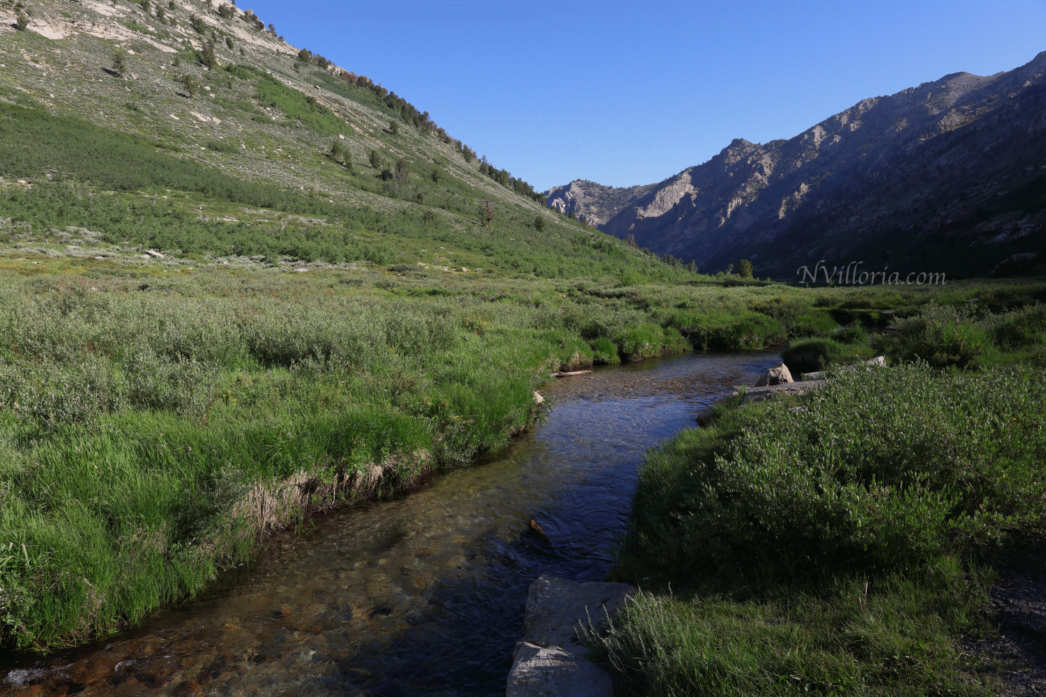 Landscapes at the Ruby Mountains - via NVilloria.com