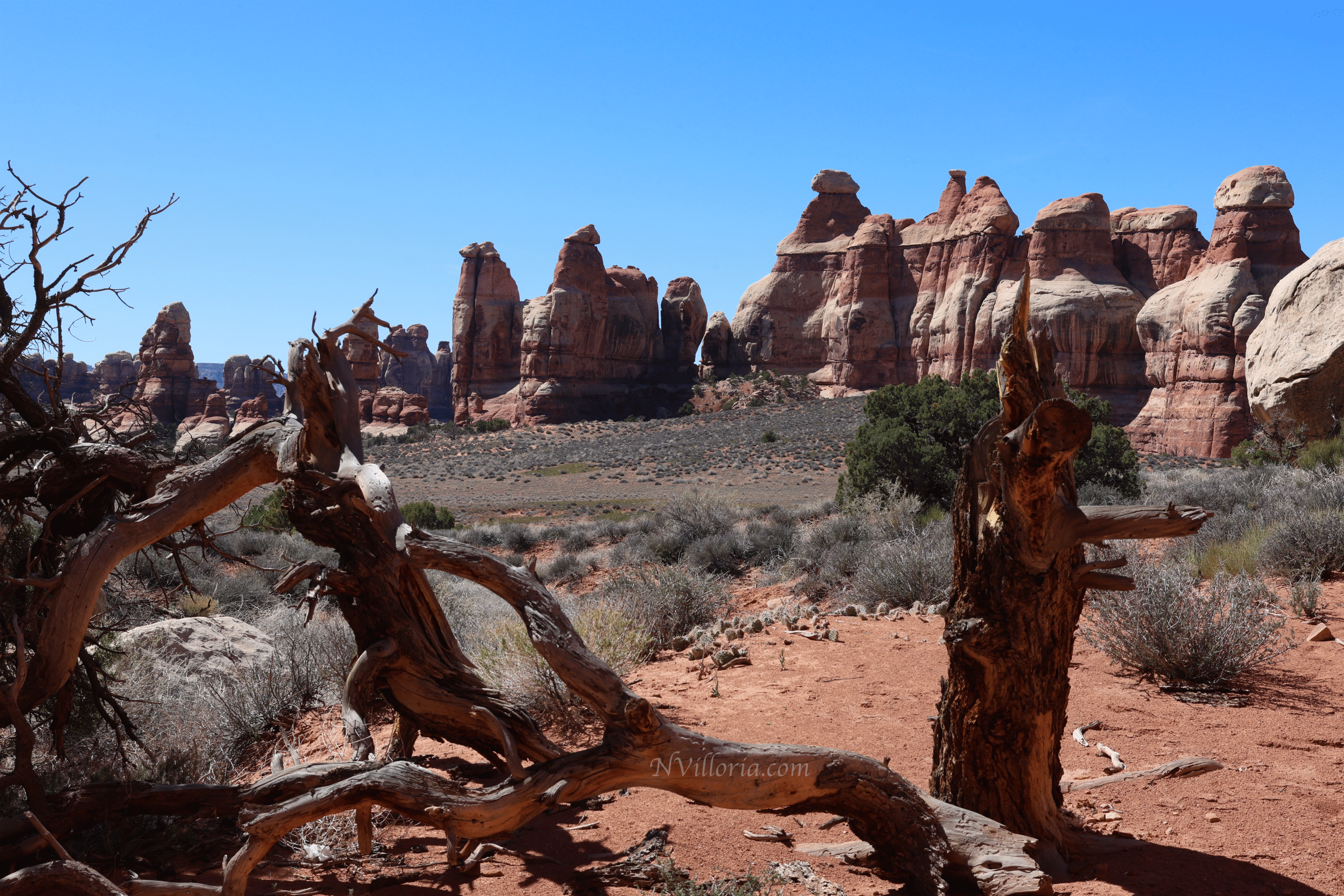 Trail views hiking the Needles District at Canyonlands National Park - via NVilloria.com