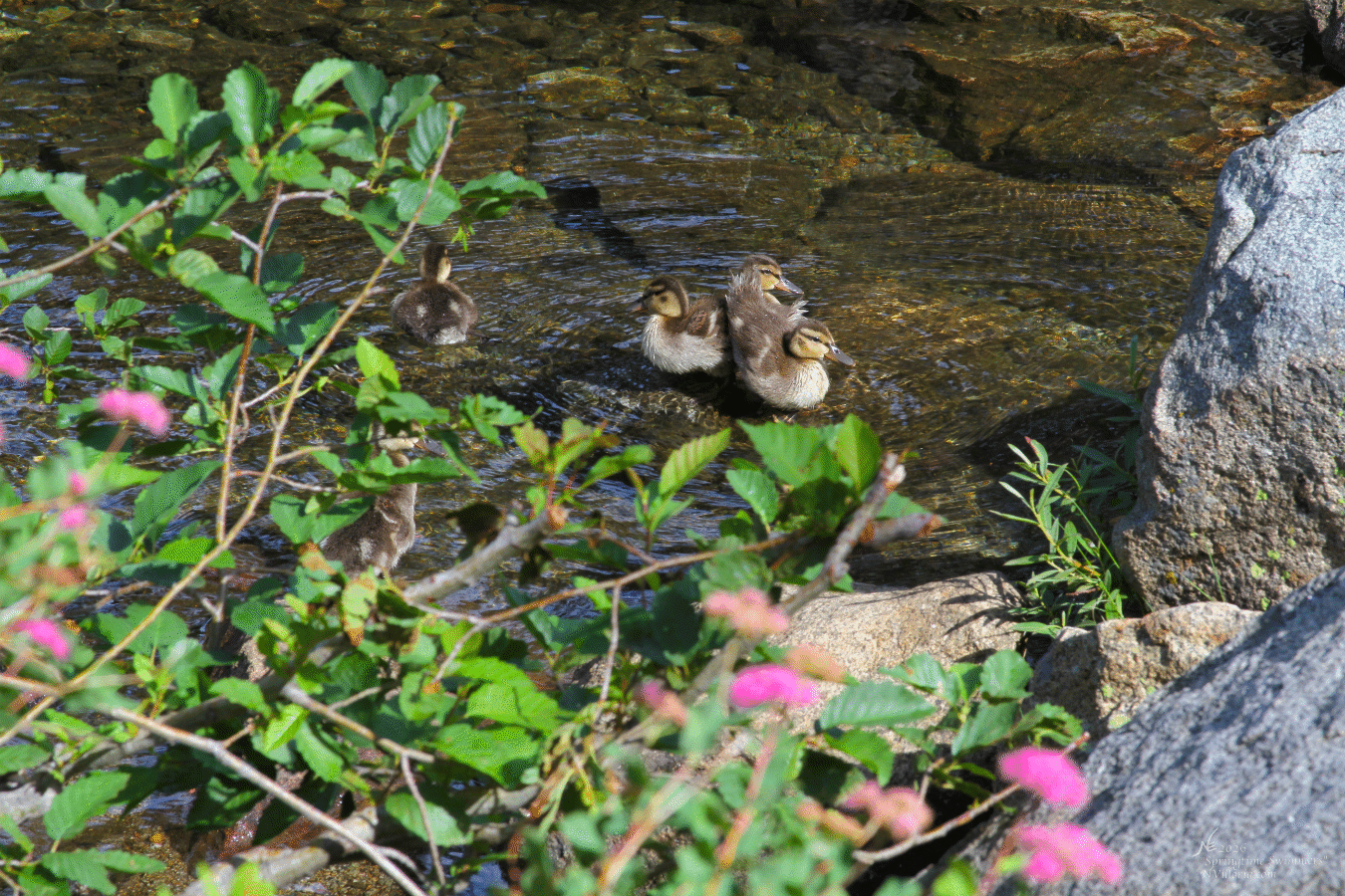 E_IMG_0062_Website Thumbnail.gif