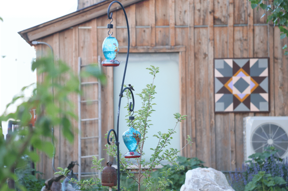 Hummingbird feeders at The Stargazer Inn in Baker, NV - via NVilloria.com blog