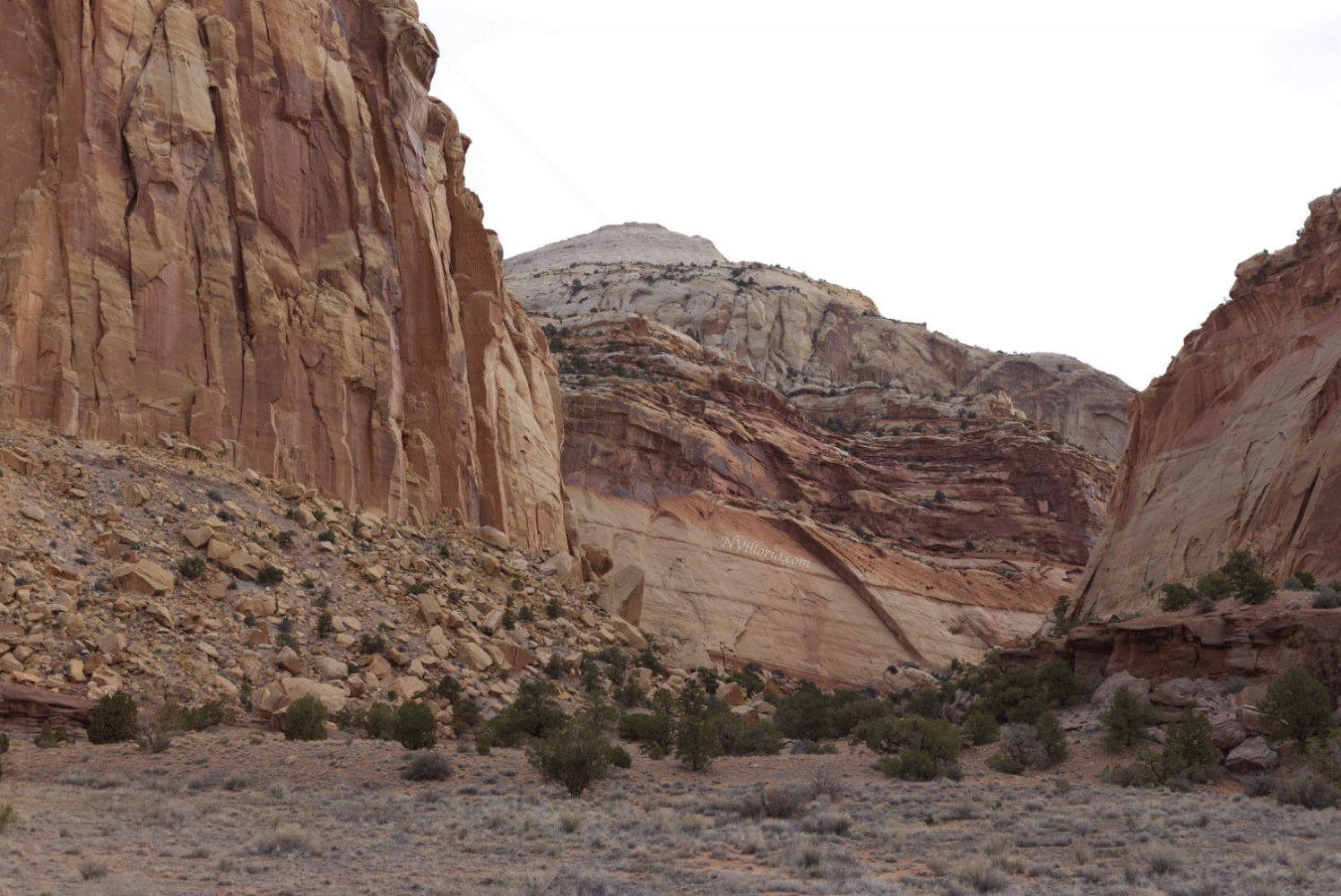 Capitol Reef National Park via NVilloria.com