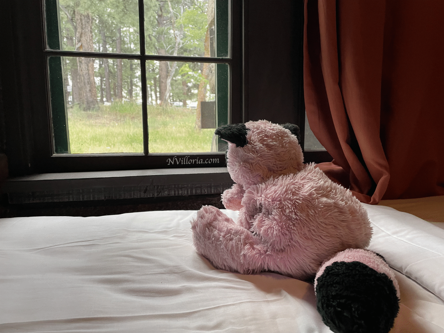 A stuffed pink raccoon sitting on a bed looking out a window at the Grand Canyon North Rim - via NVilloria.com