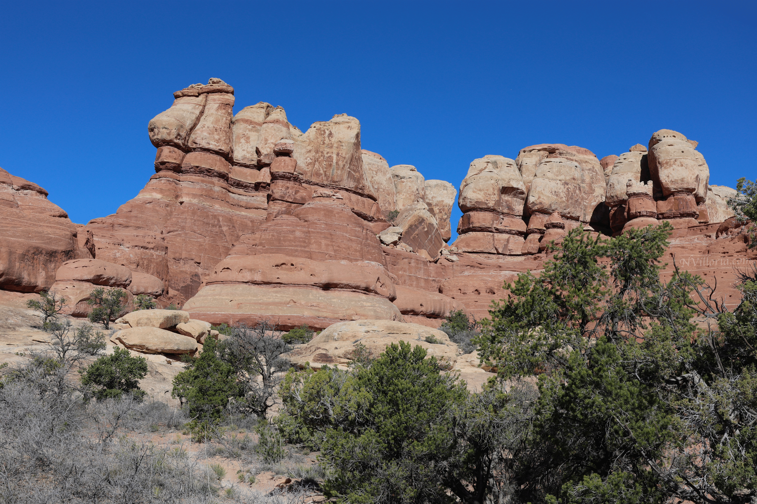 Trail views hiking the Needles District at Canyonlands National Park - via NVilloria.com