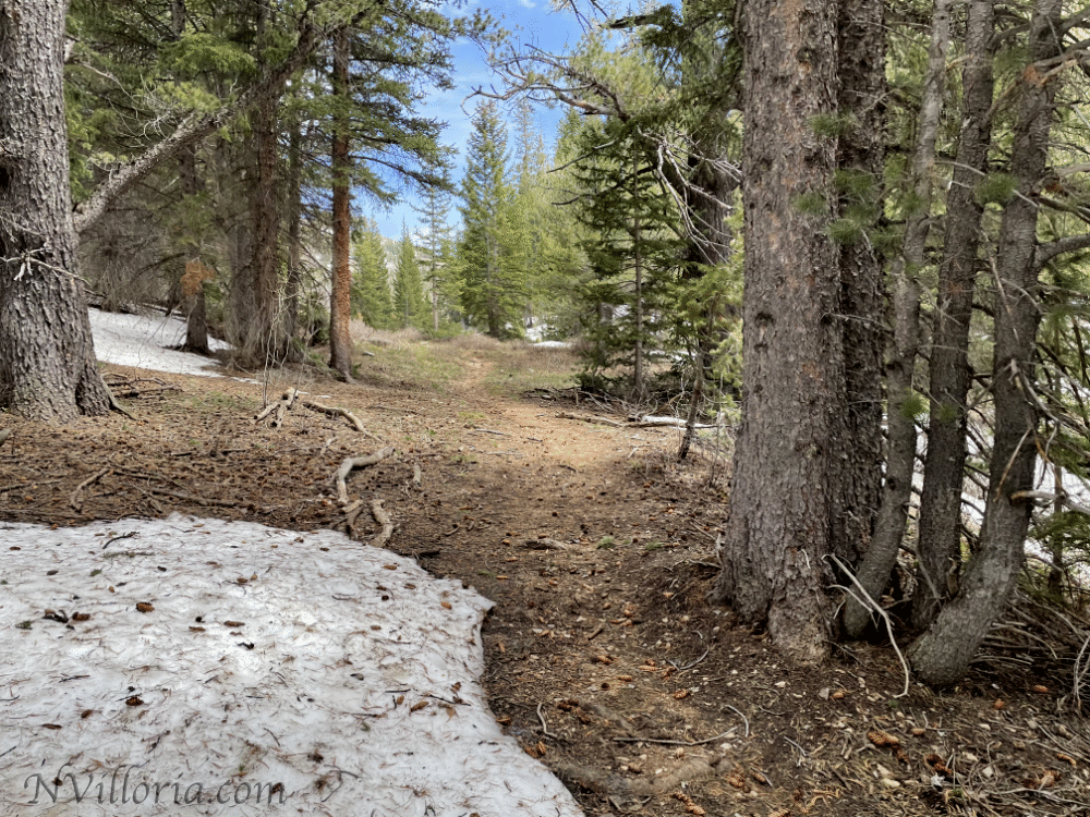 Views from a hiking trail at Great Basin National Park from NVilloria.com