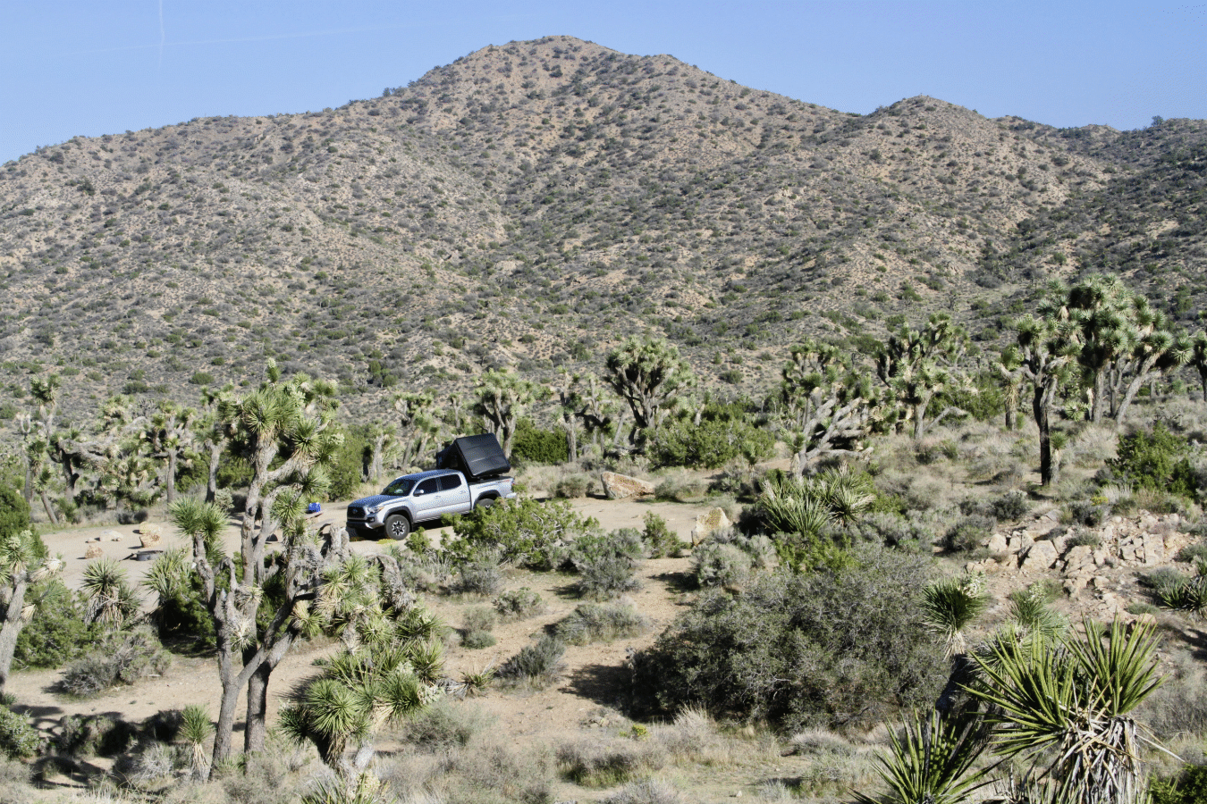 iKamper Skycamp Mini on a 5-foot bed Toyota Tacoma in the desert - via NVilloria.com 