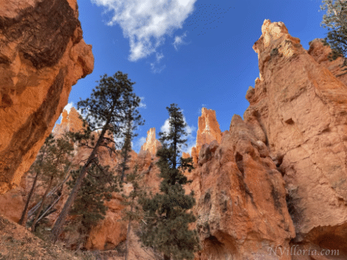 Bryce Canyon National Park via travel blogger NVilloria.com