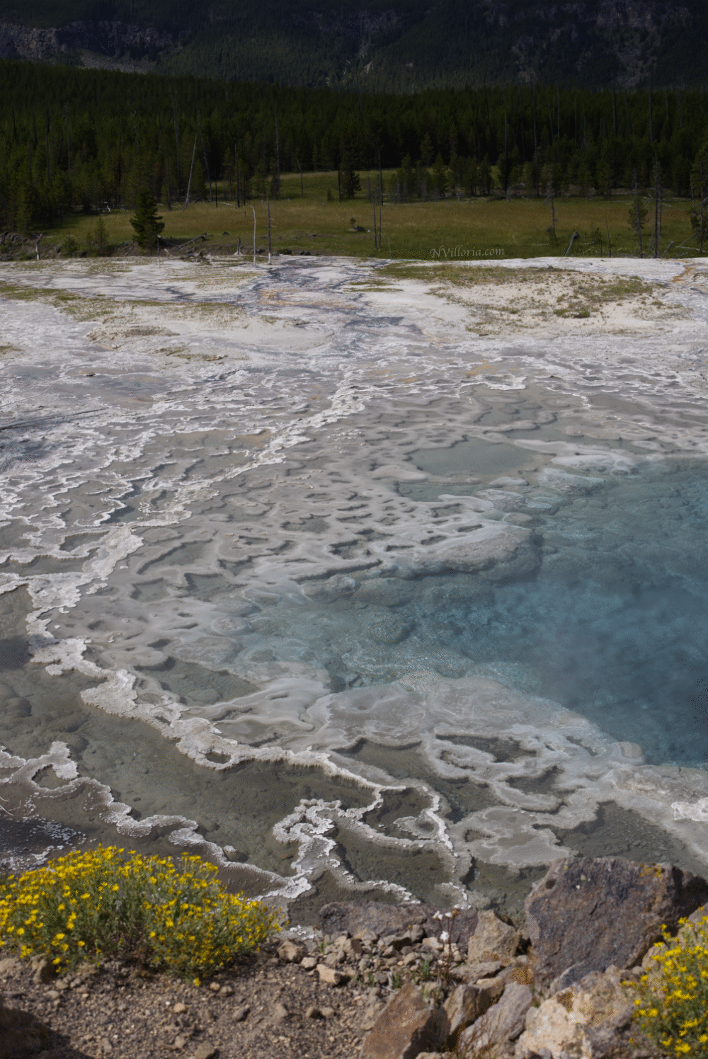 geyser pool details at Yellowstone National Park - via NVilloria.com
