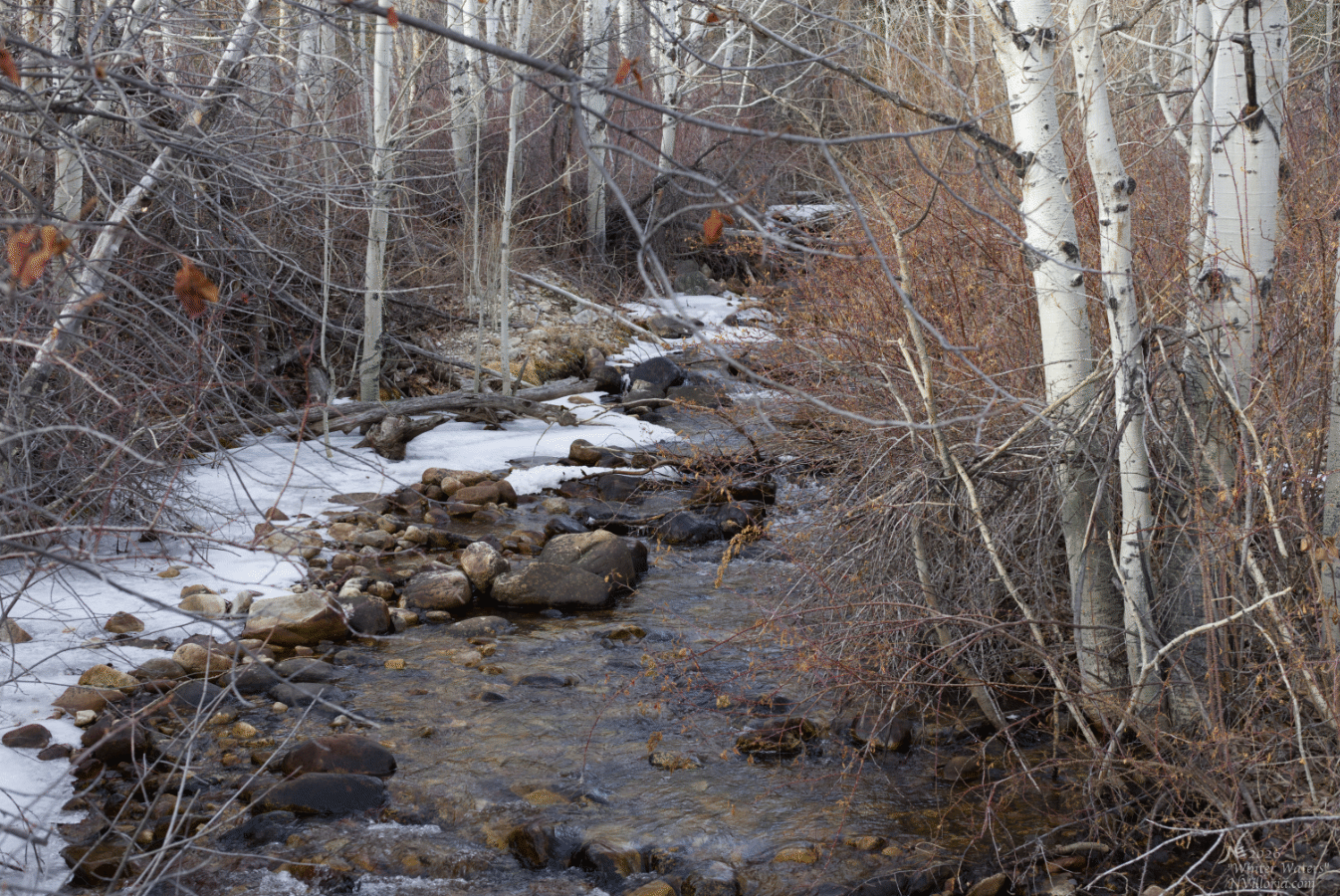 E_IMG_0180_Website Thumbnail.gif